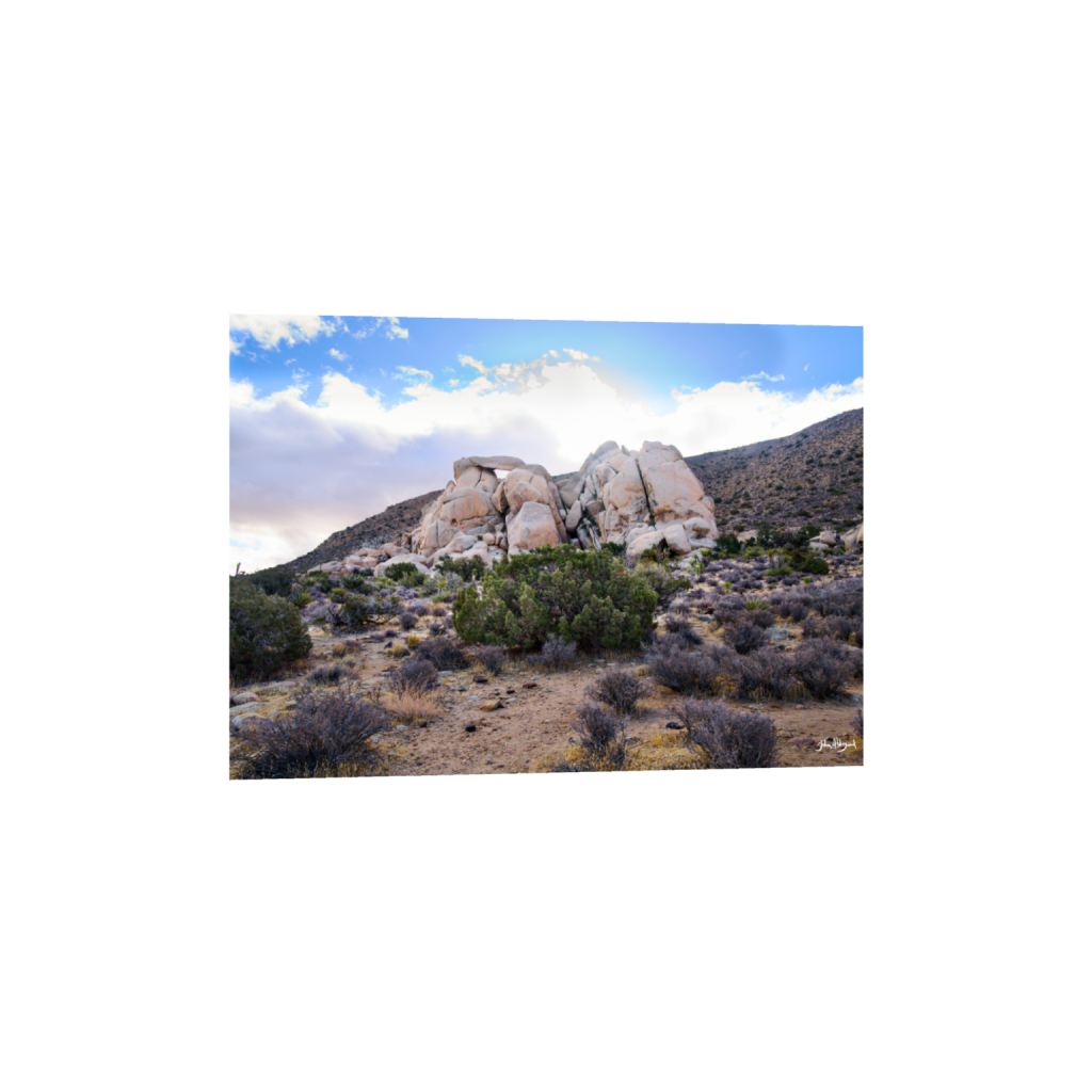 ptq_1_7_393_0_5325_3804_0_false_ffffff_0_0_.png