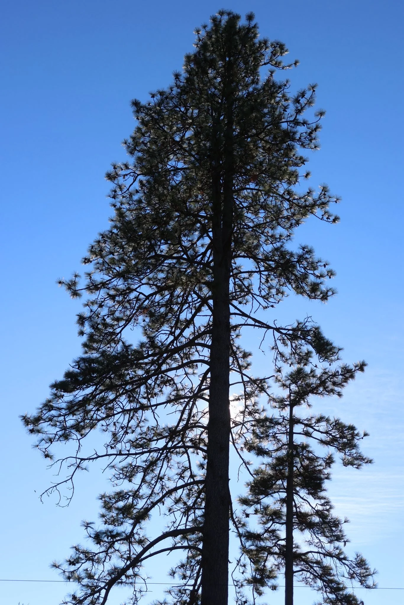 just another day in Paradise