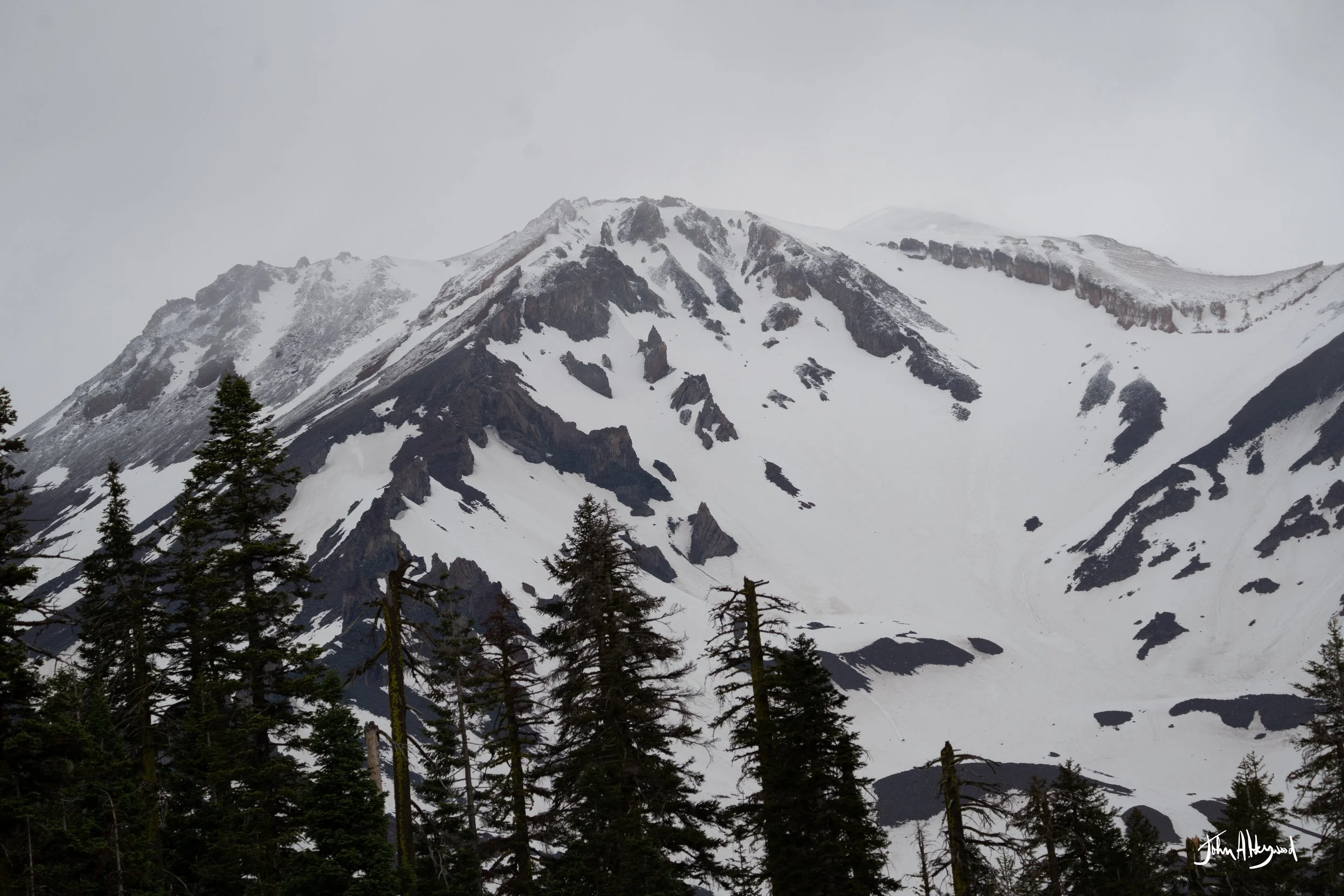 DSC03942.jpg