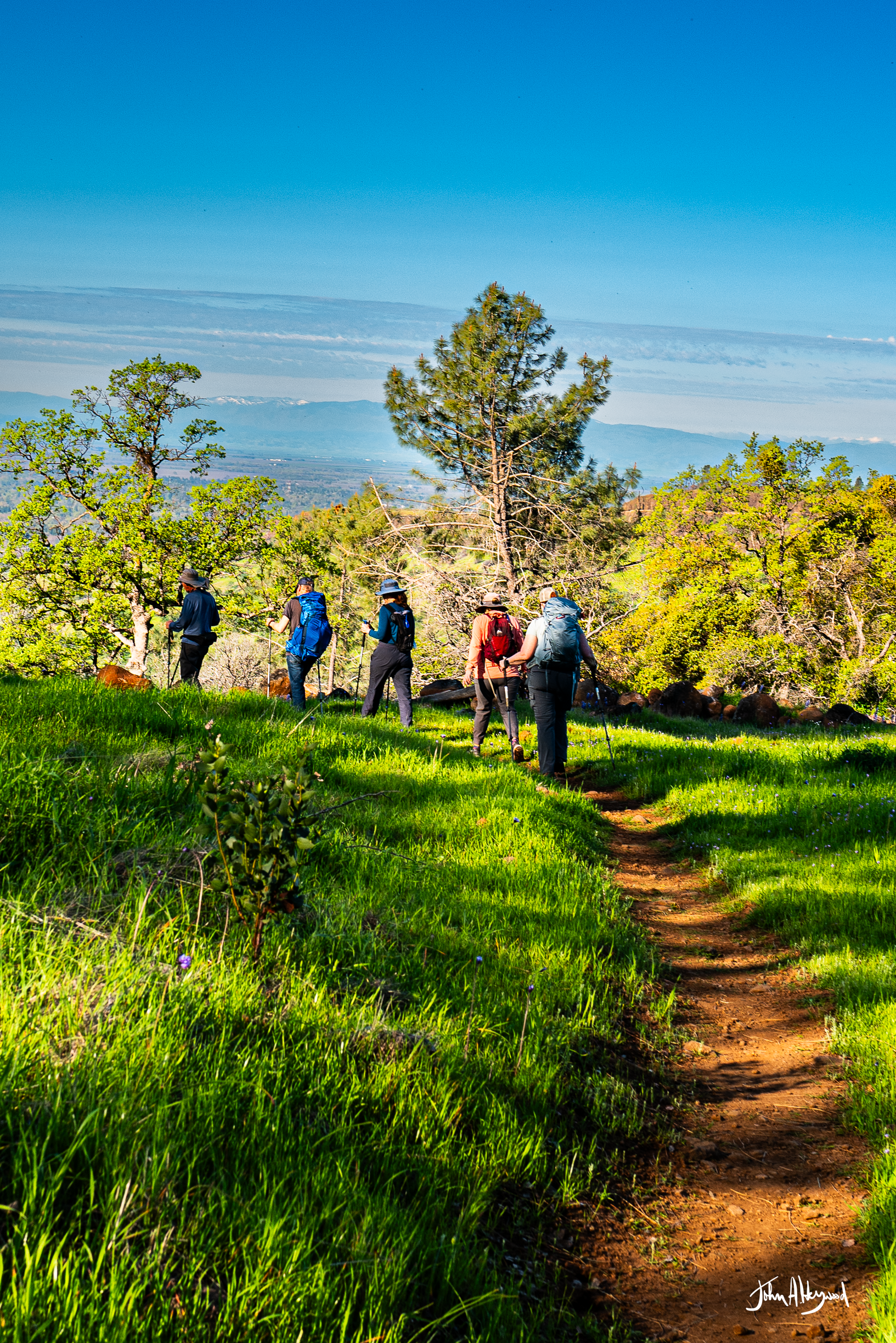 Group of six hikers walking on a trail through a lush green forest with trees and mountain views in the background.