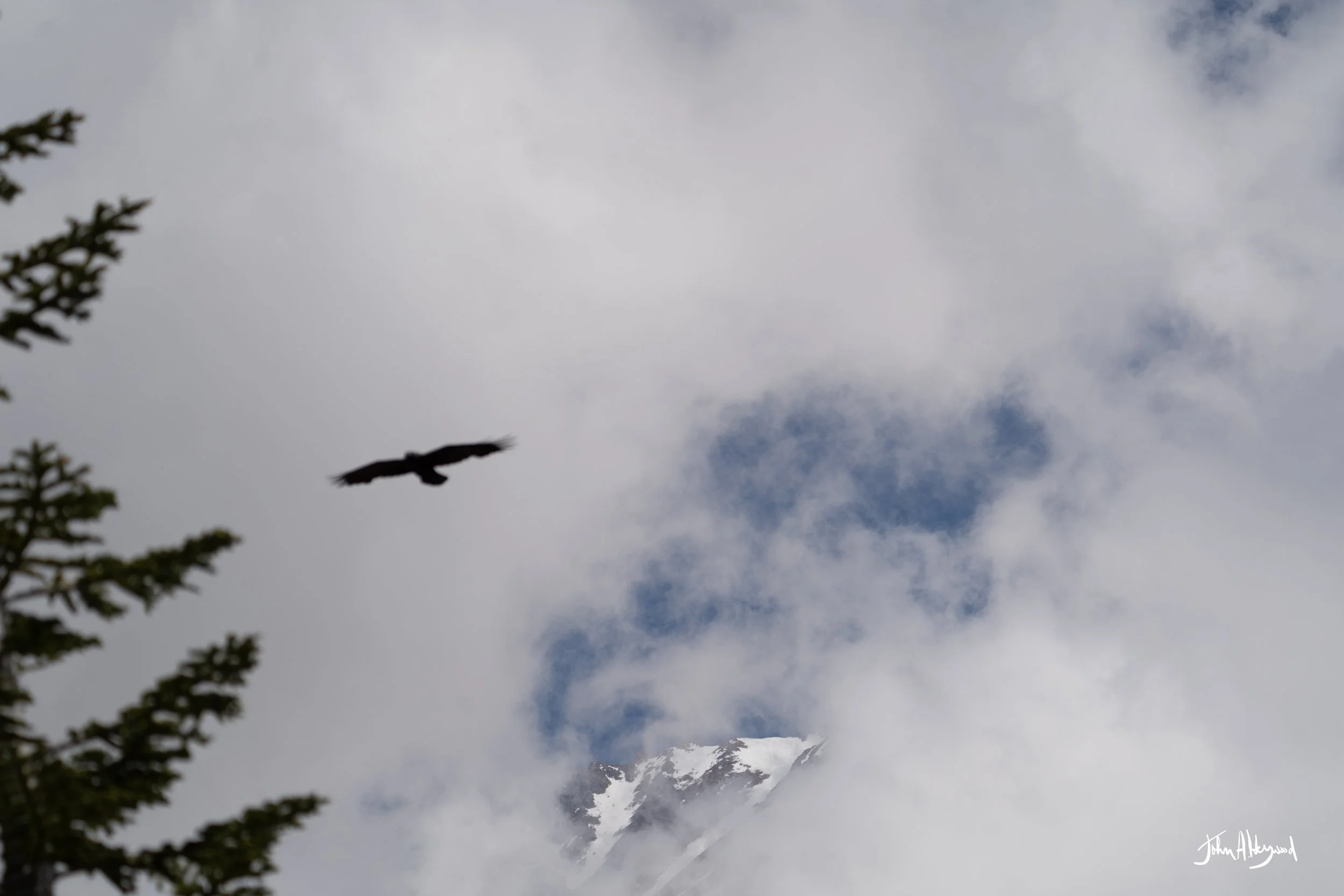 DSC04162.jpg
