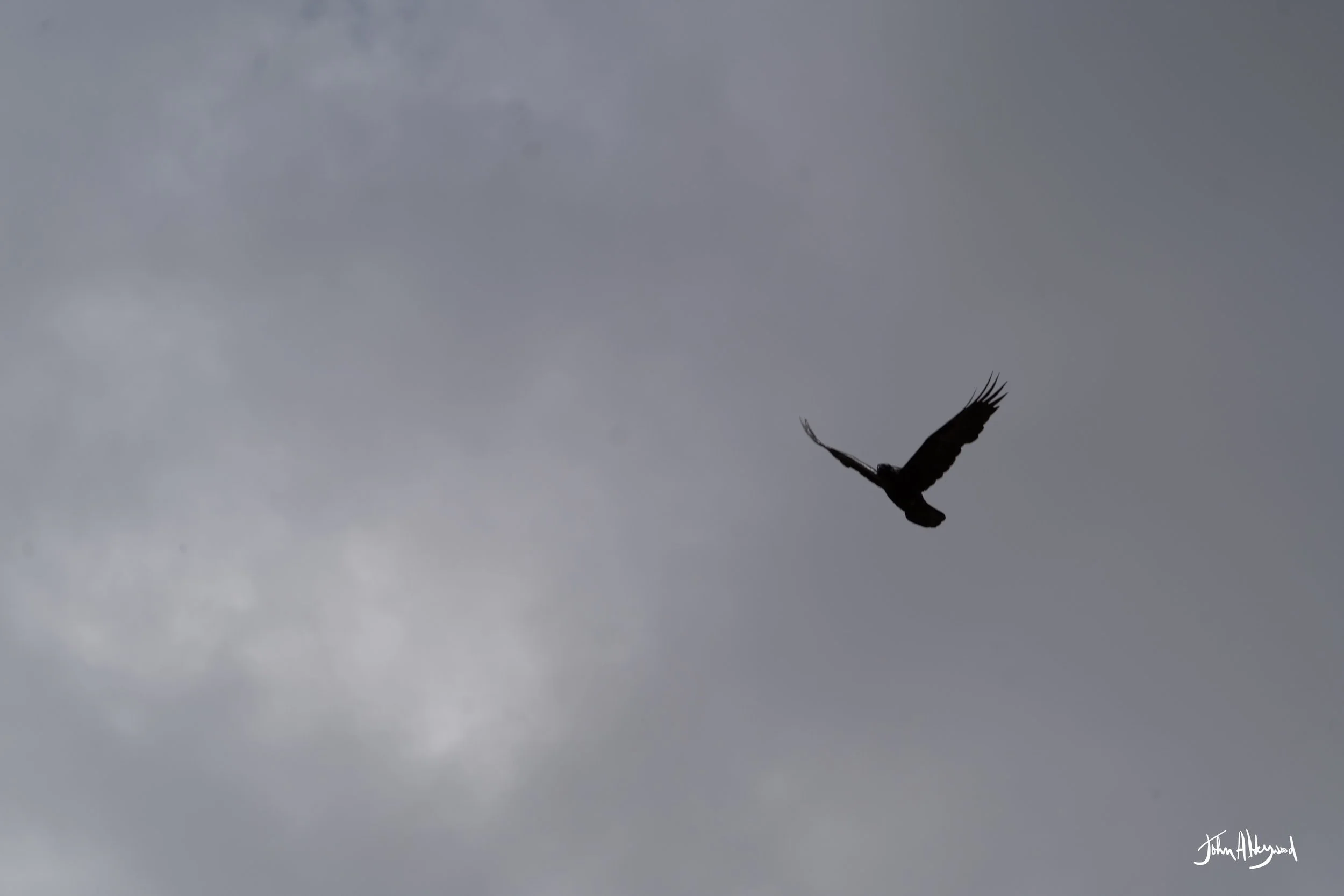 DSC04164.jpg