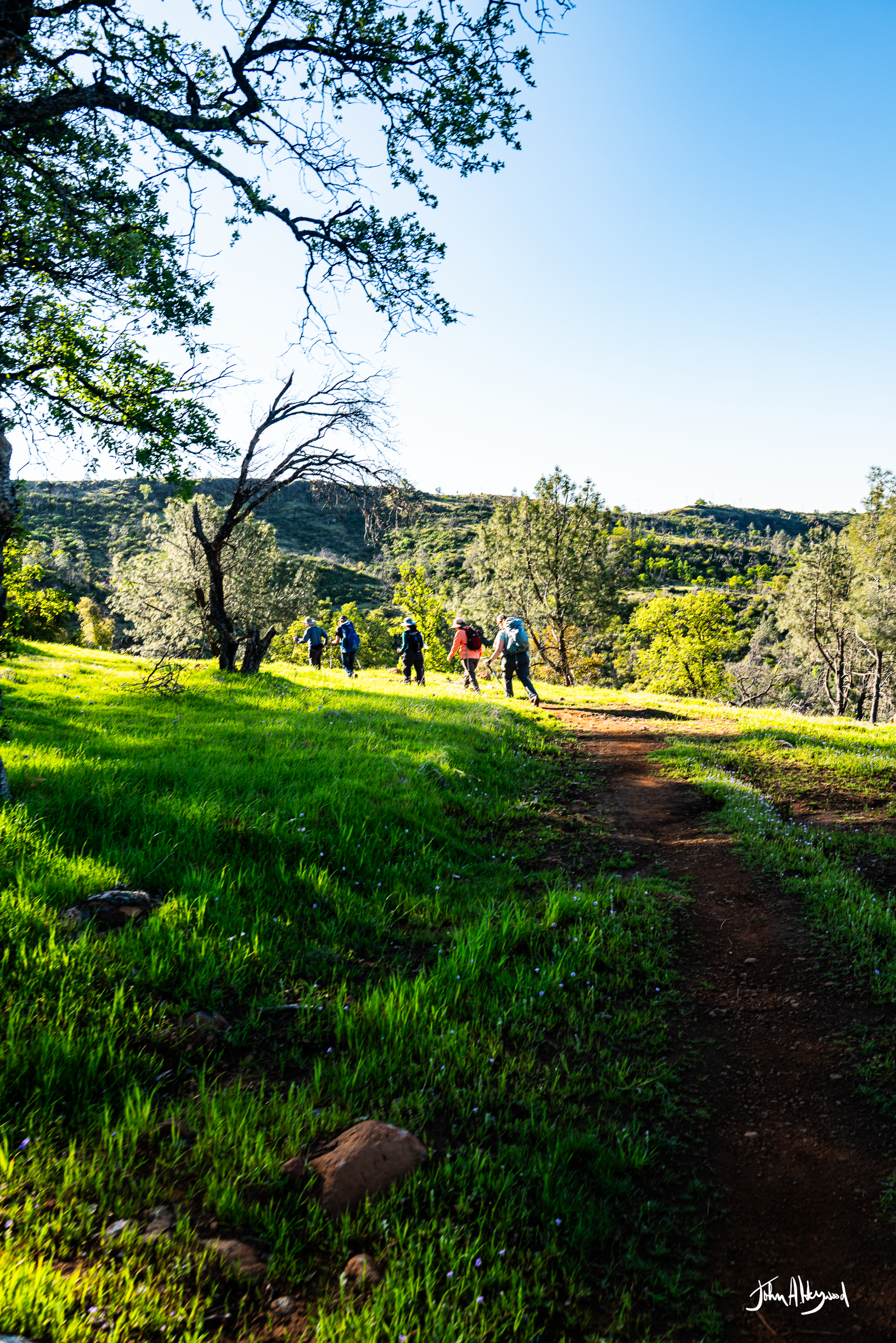 A group of six hikers with backpacks walking along a dirt trail through a green, grassy landscape with trees and hills under a bright blue sky.