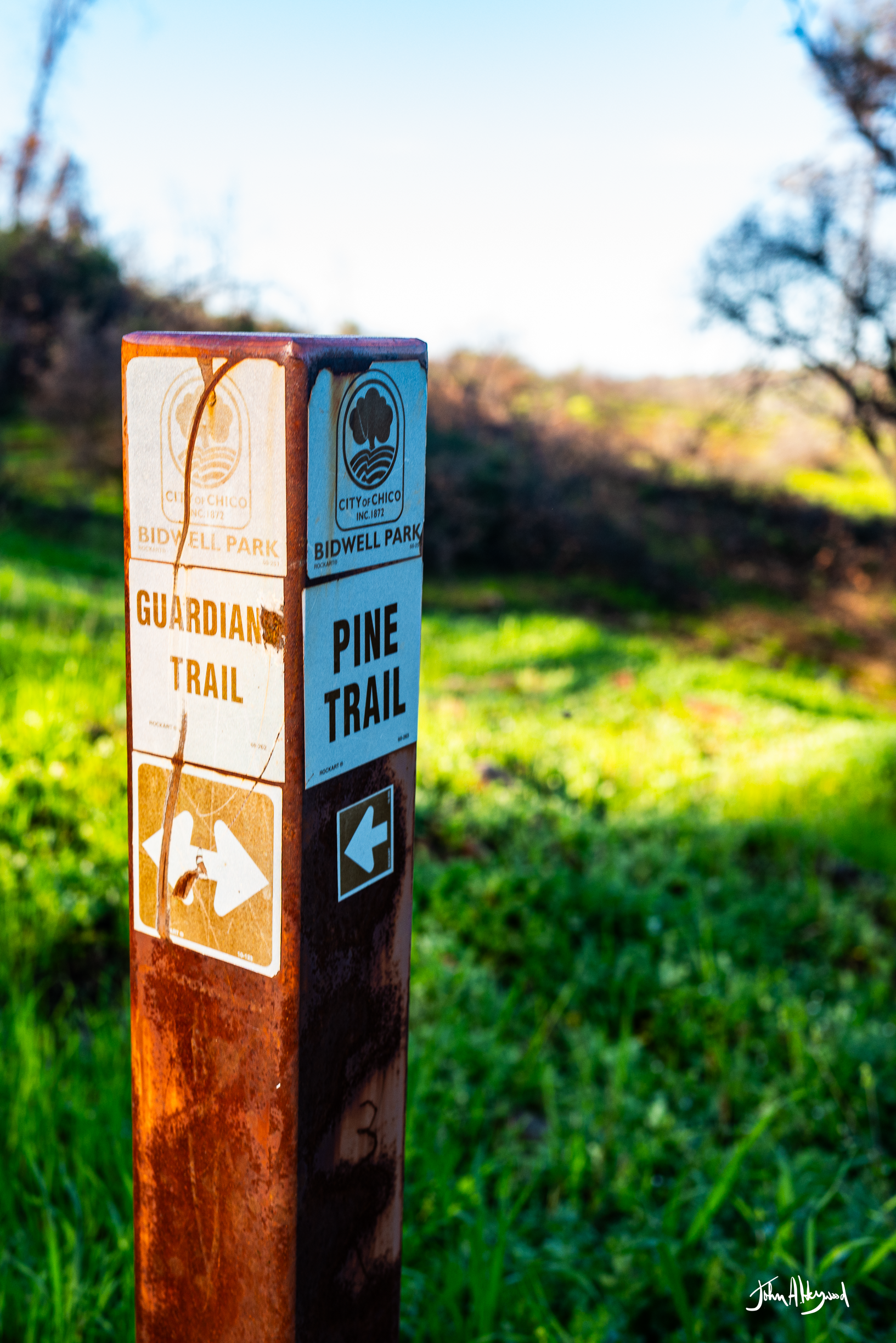 Rusty trail signpost with blue and white labels indicating Pine Trail and Guardian Trail at Bidwell Park, with greenery and trees in the background.