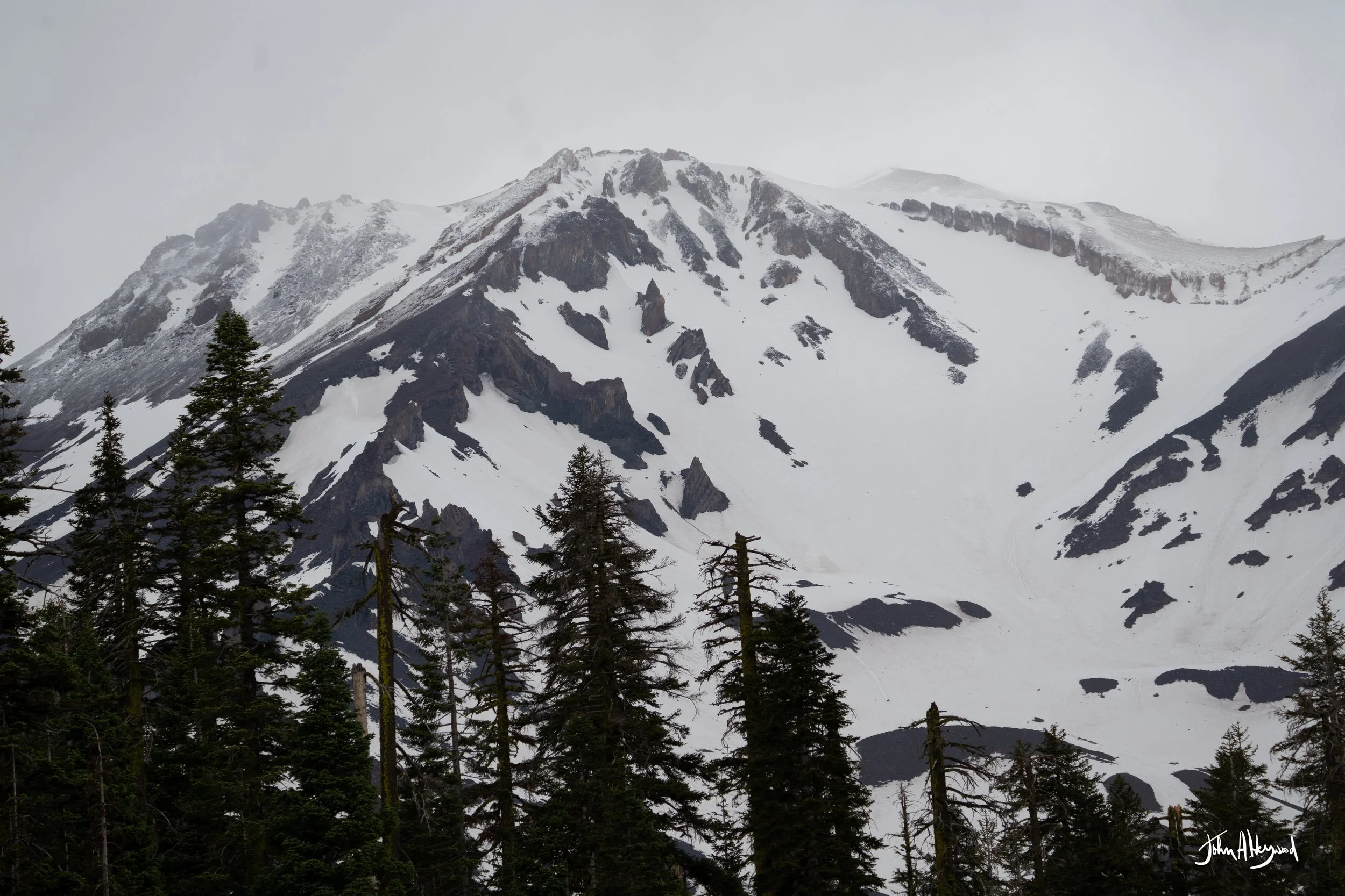 DSC03938.jpg