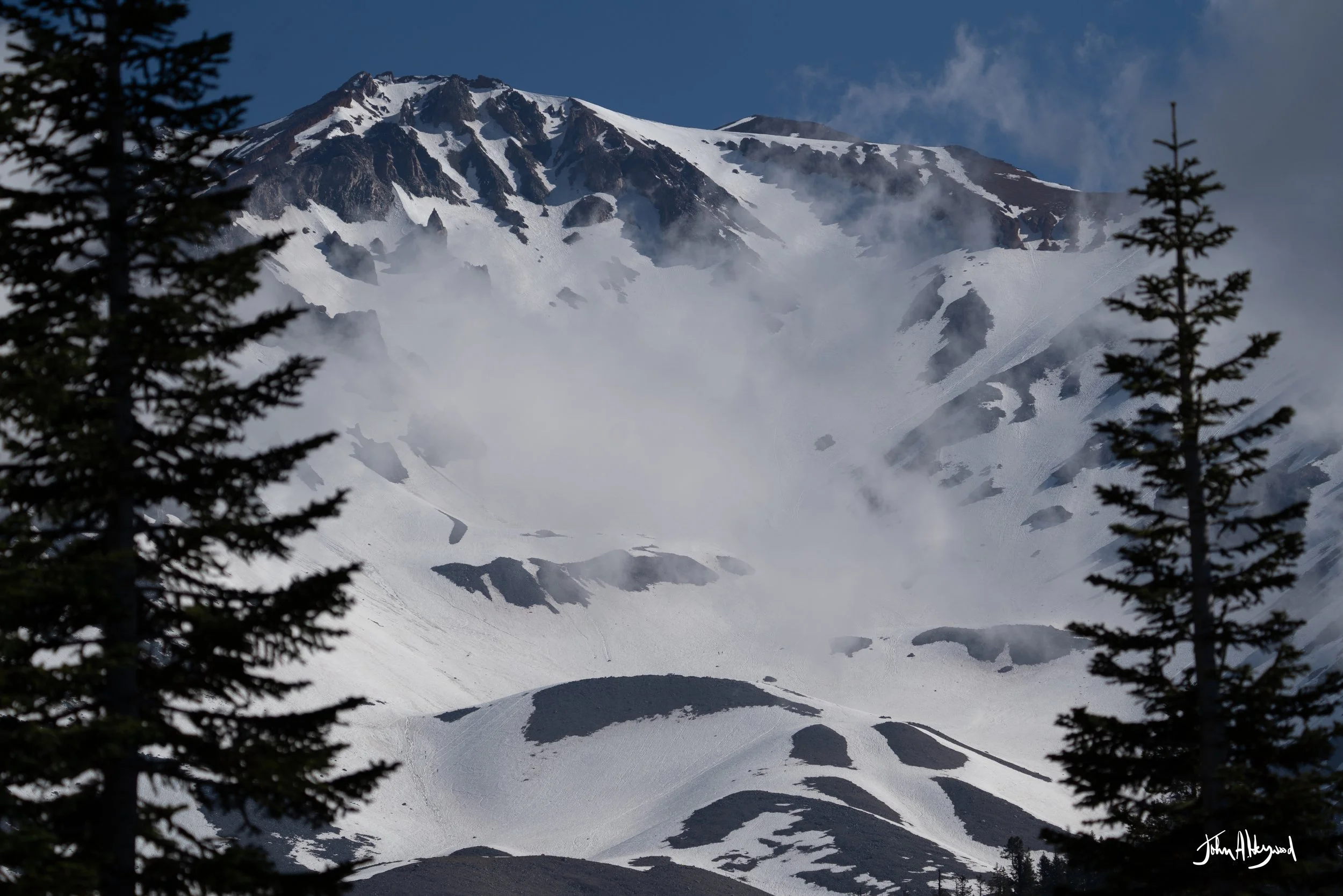 DSC04011.jpg