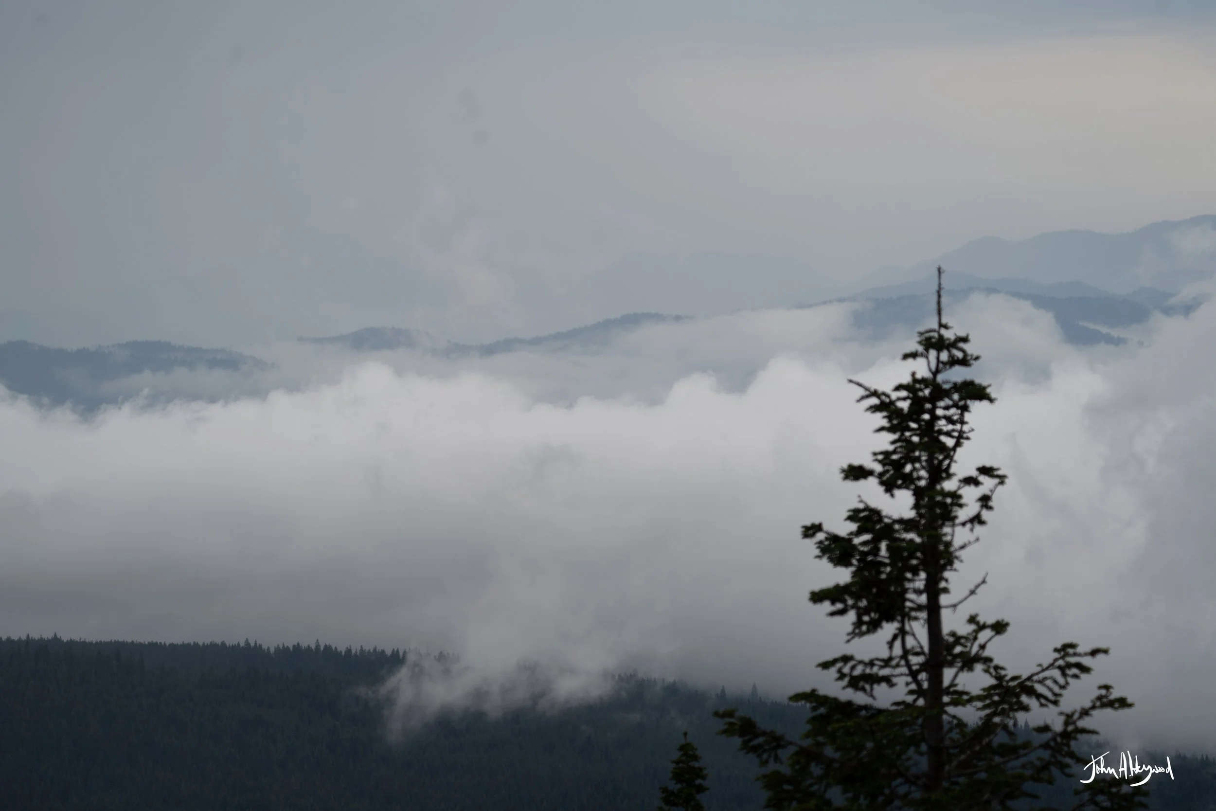 DSC03945.jpg