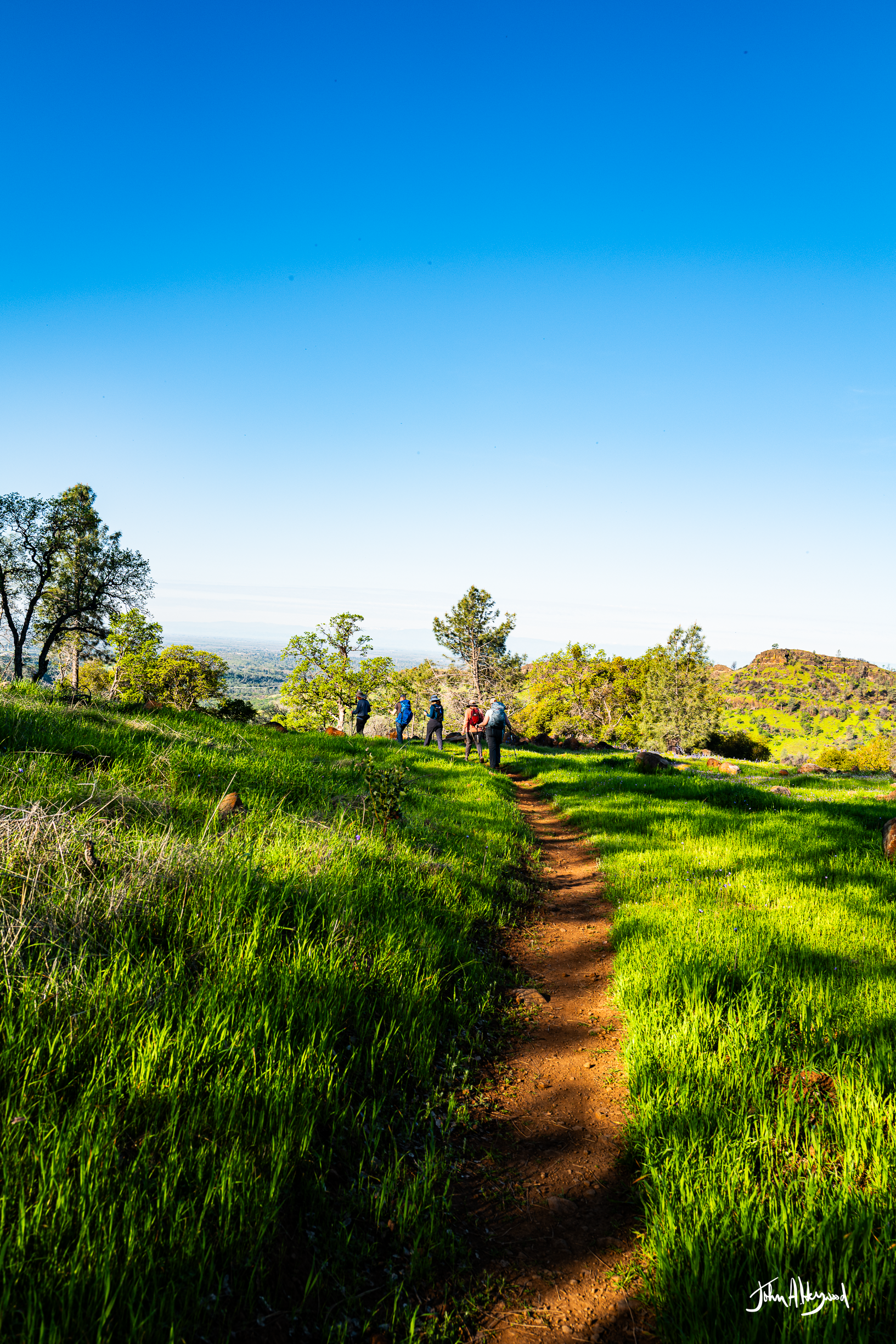 A group of hikers walking along a dirt trail through a lush green field with trees and distant mountains under a clear blue sky.