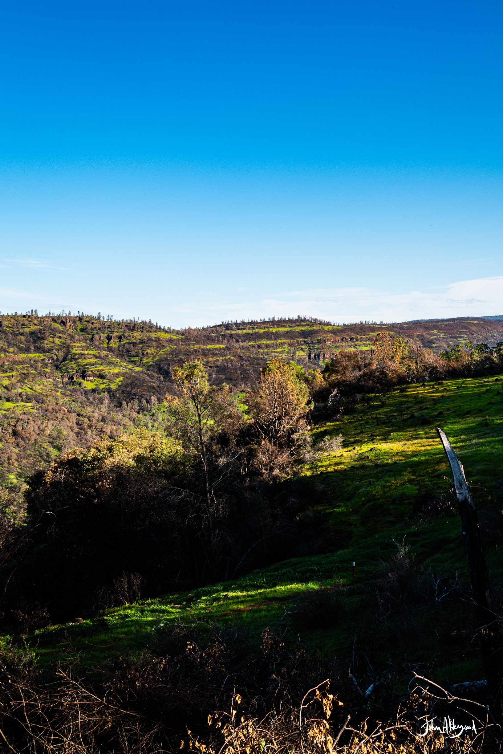 Photograph of a hilly landscape with green grass, trees, and a clear blue sky.