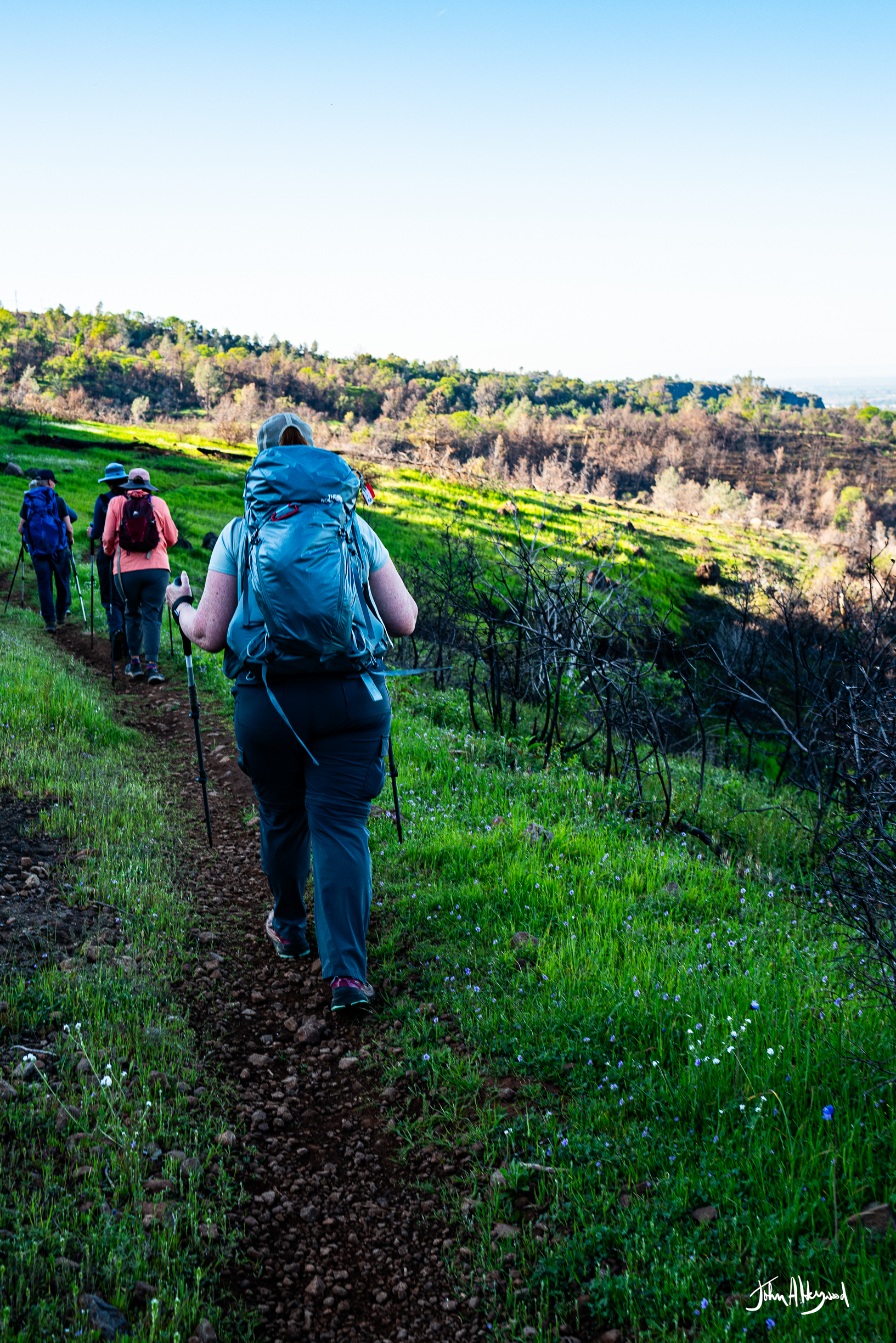 A group of hikers walking along a narrow trail through a grassy, green hillside with trees and distant hills in the background.