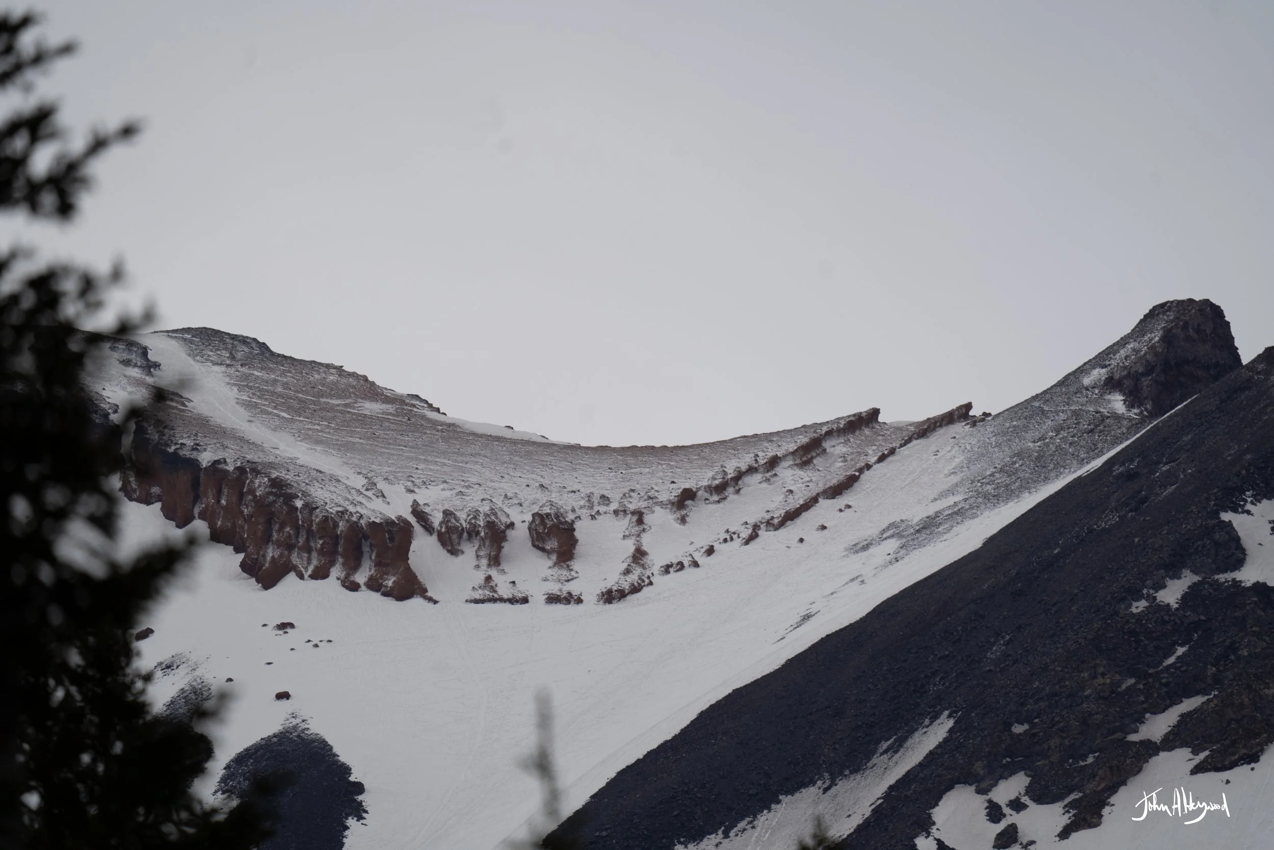DSC03990.jpg