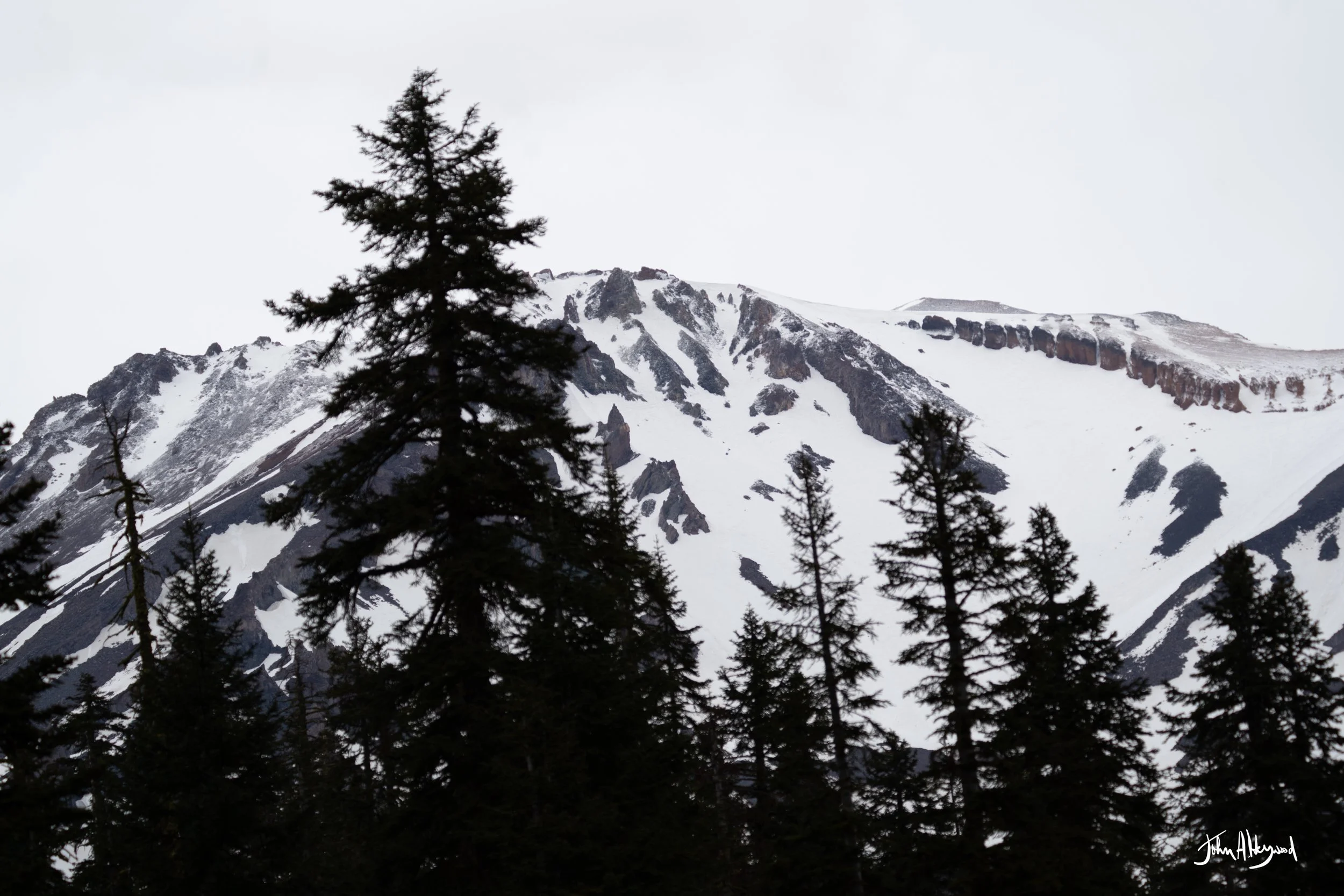 DSC03987.jpg