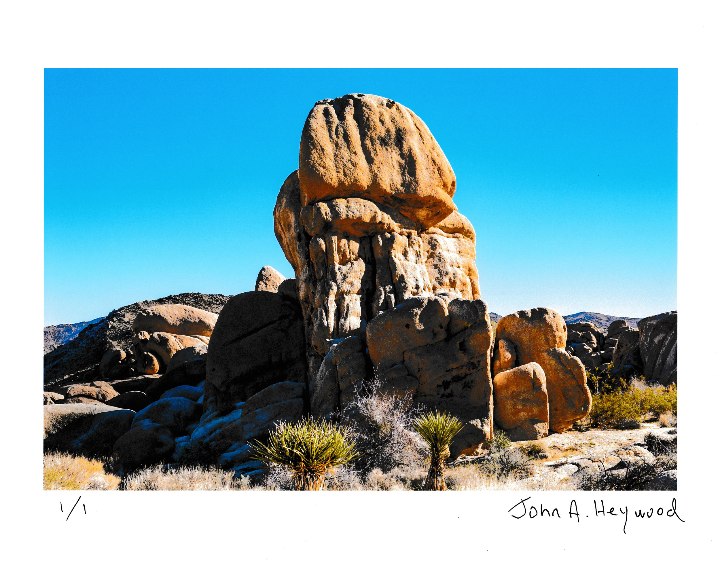Faces of Joshua Tree