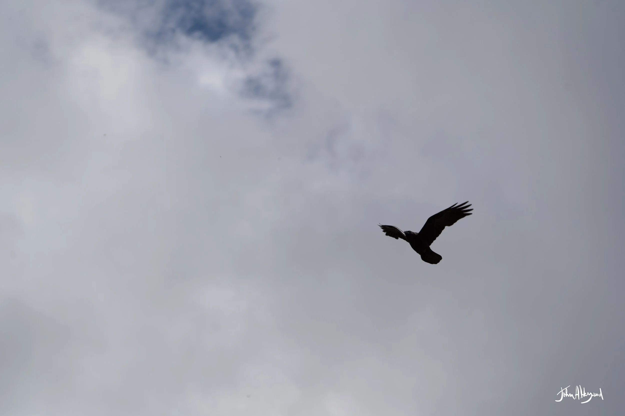 DSC04166.jpg
