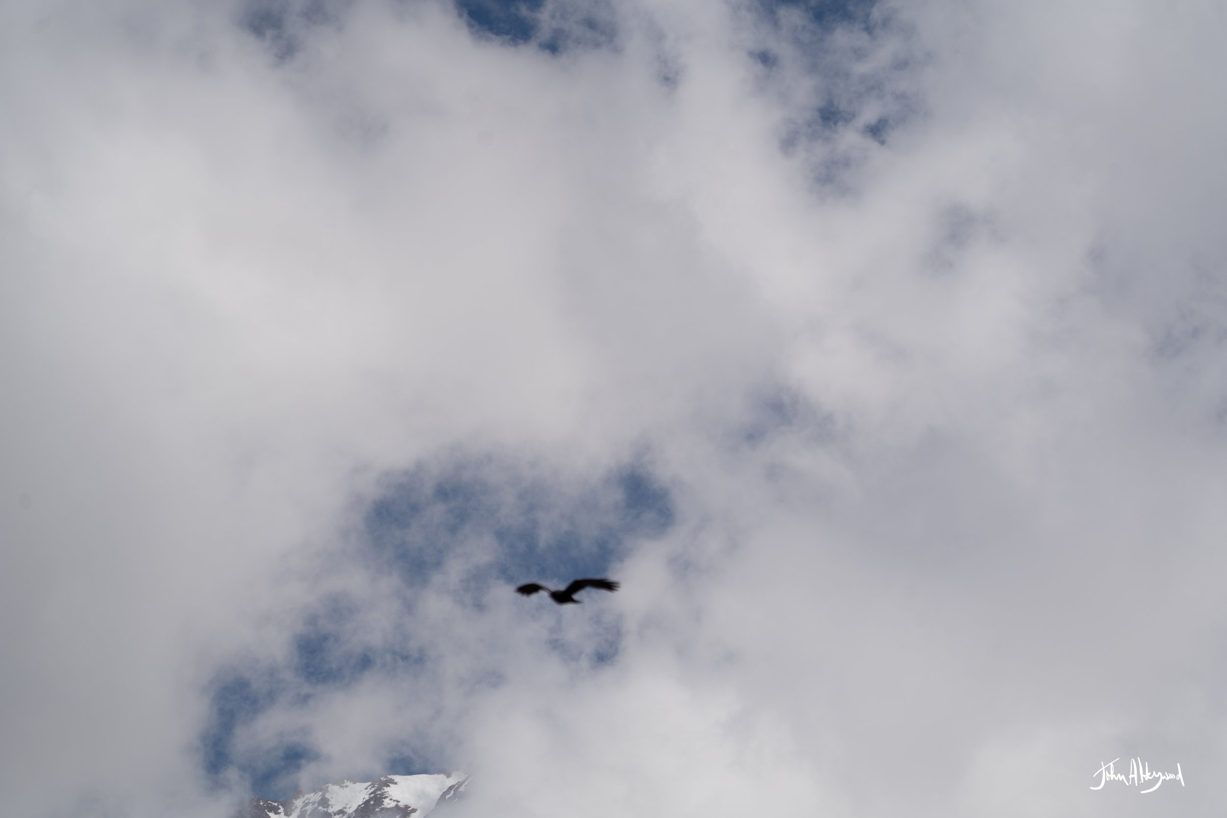 DSC04157.jpg