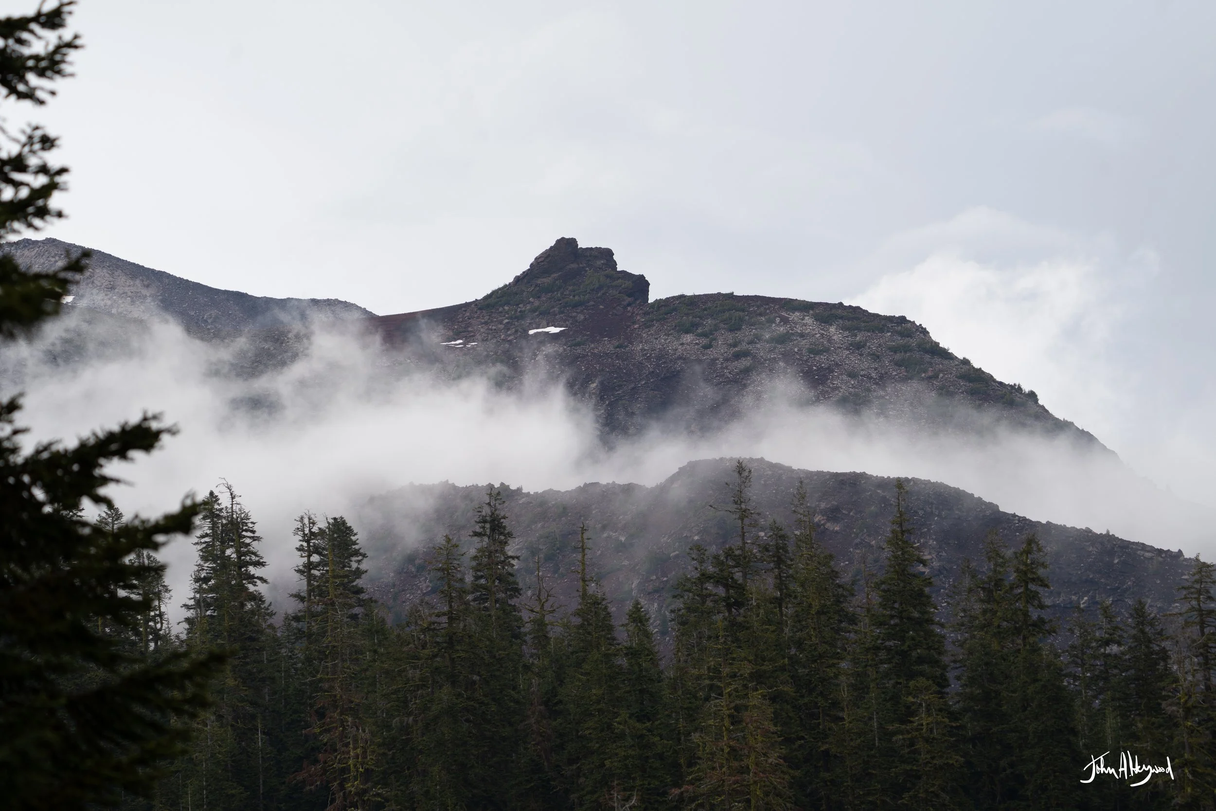 DSC03984.jpg