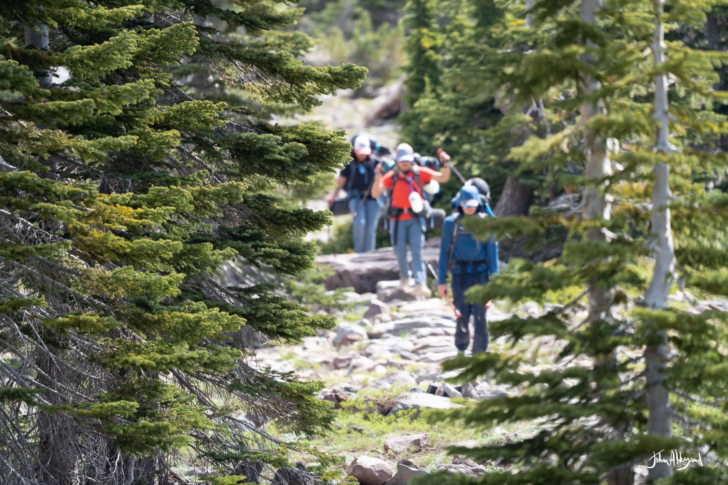 DSC04059.jpg