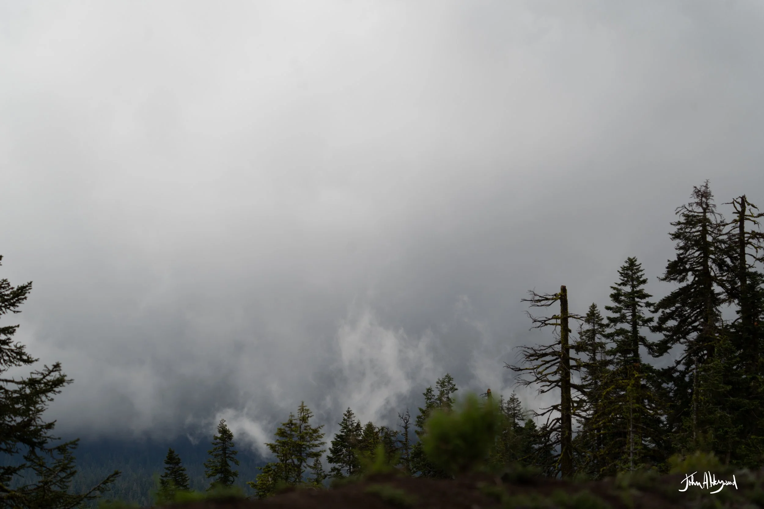 DSC03947.jpg