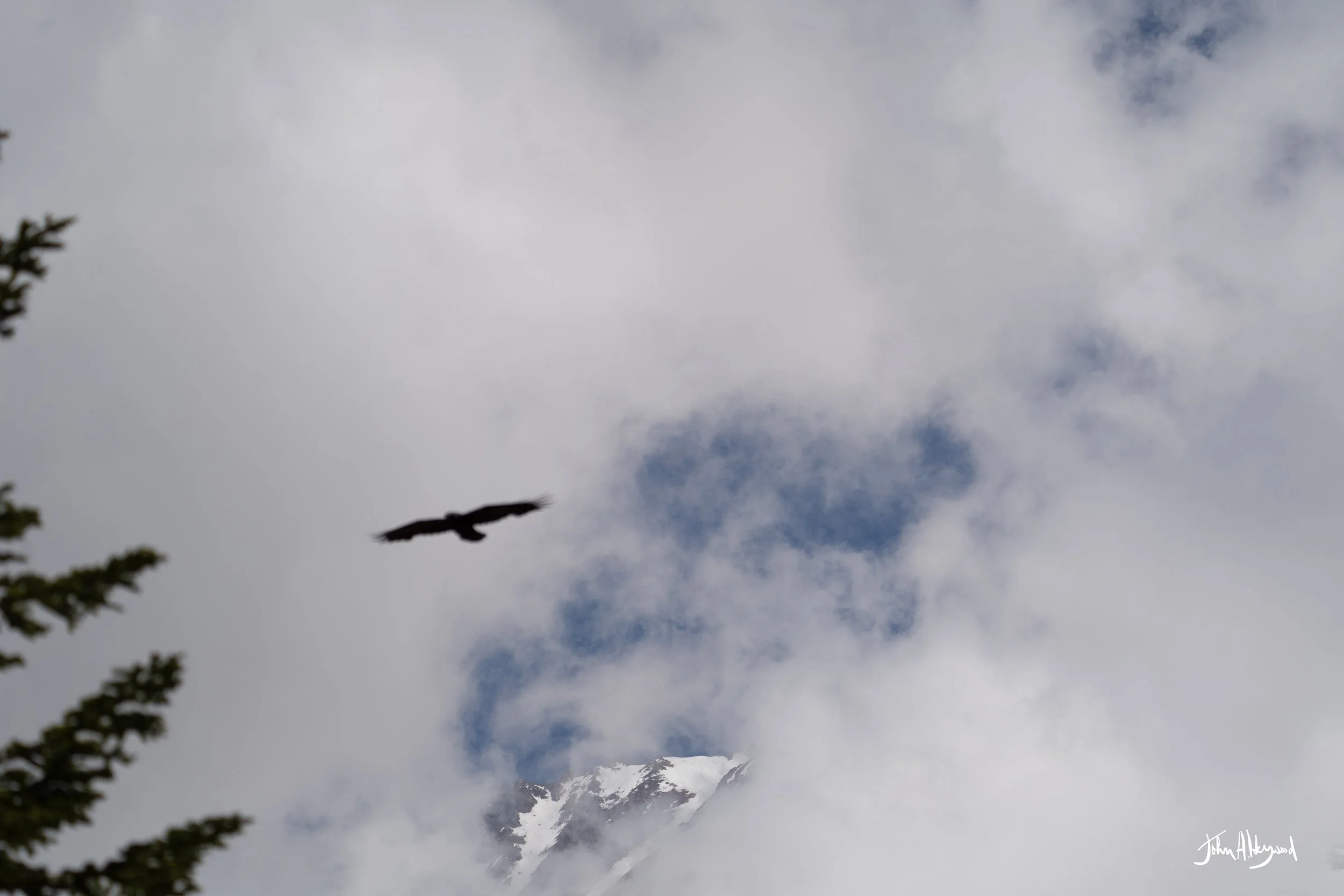 DSC04161.jpg