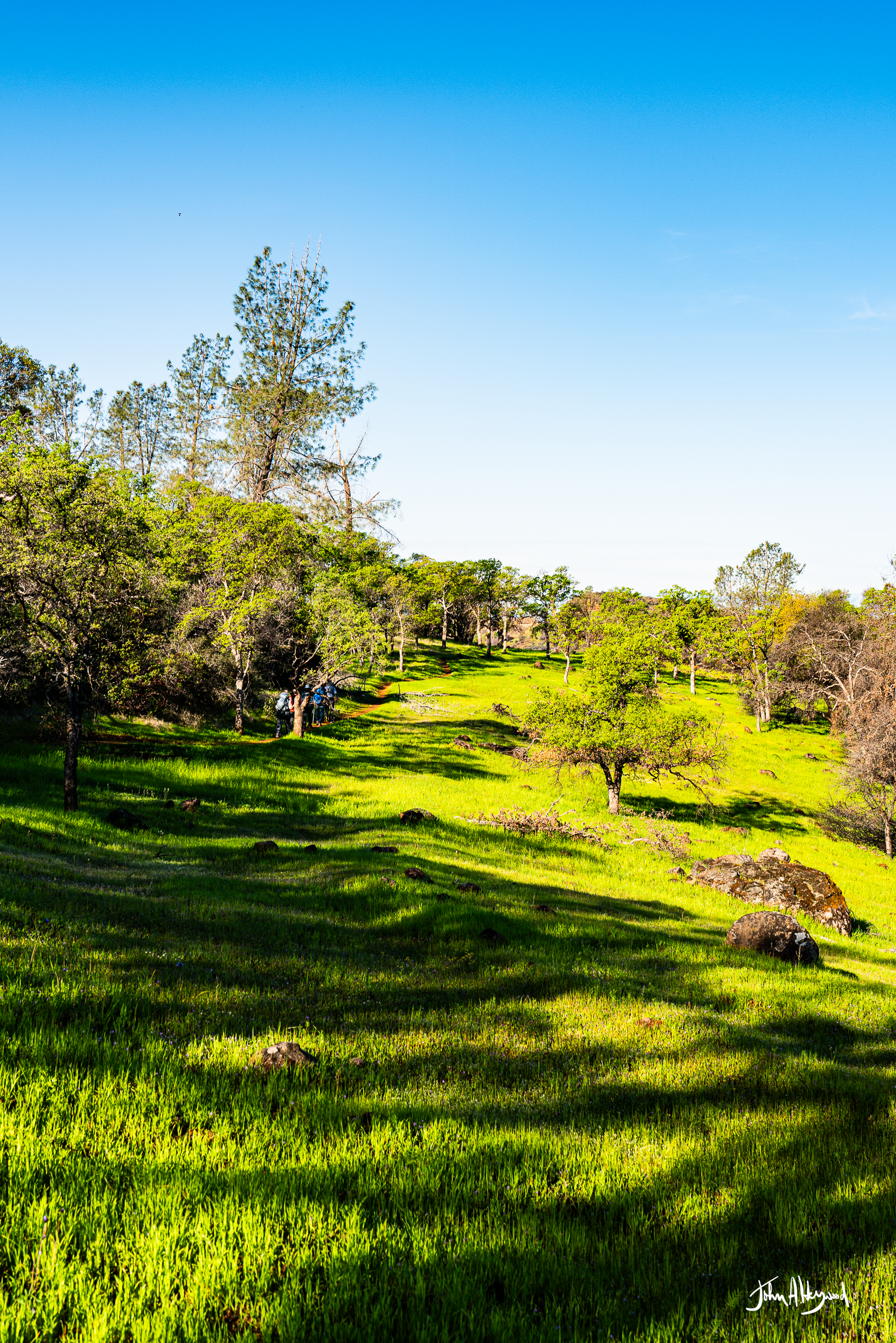 Green grassy landscape with scattered trees and large rocks, under a clear blue sky. A group of people can be seen in the distance walking along a trail.