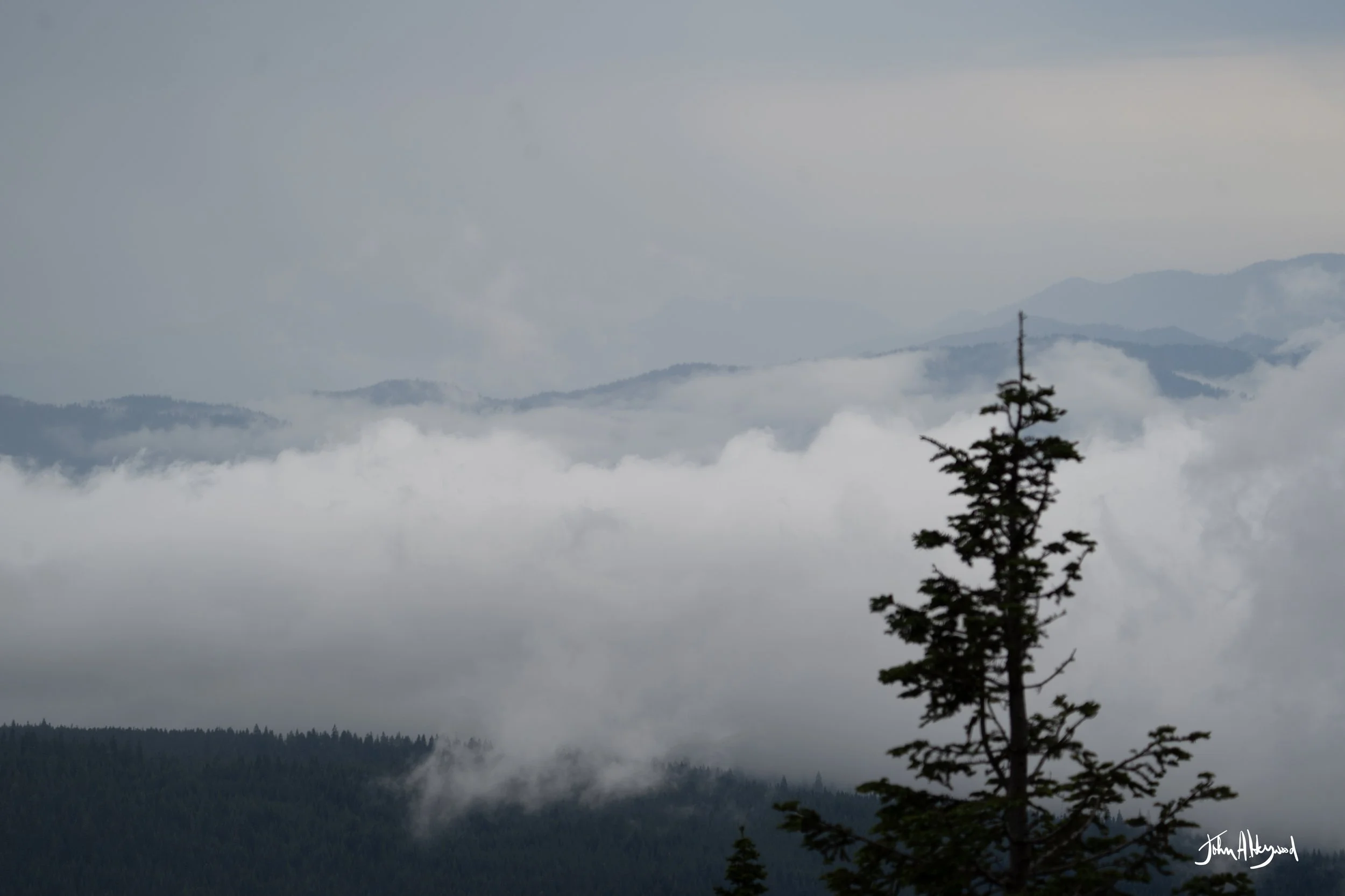 DSC03944.jpg