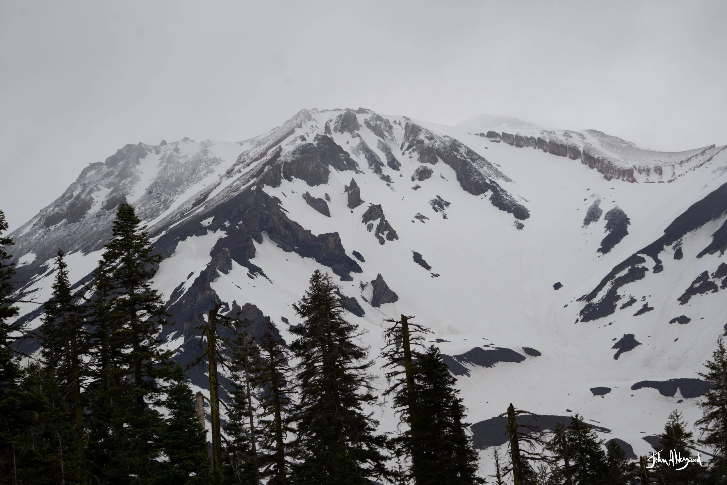 DSC03943.jpg