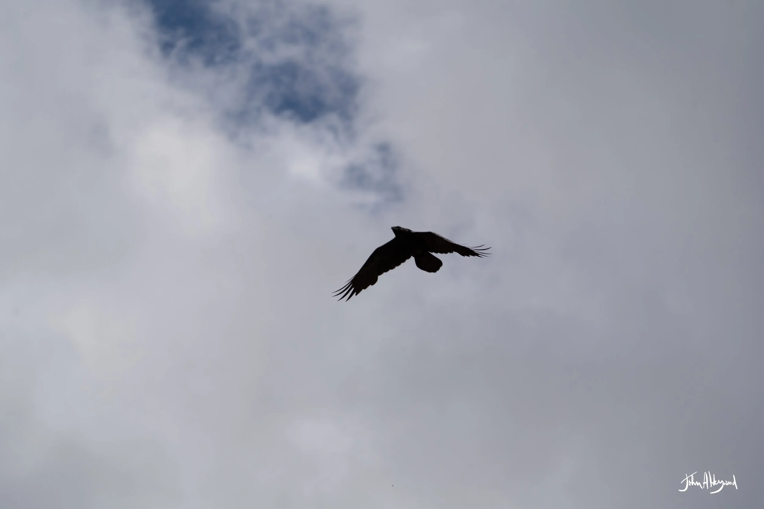 DSC04167.jpg