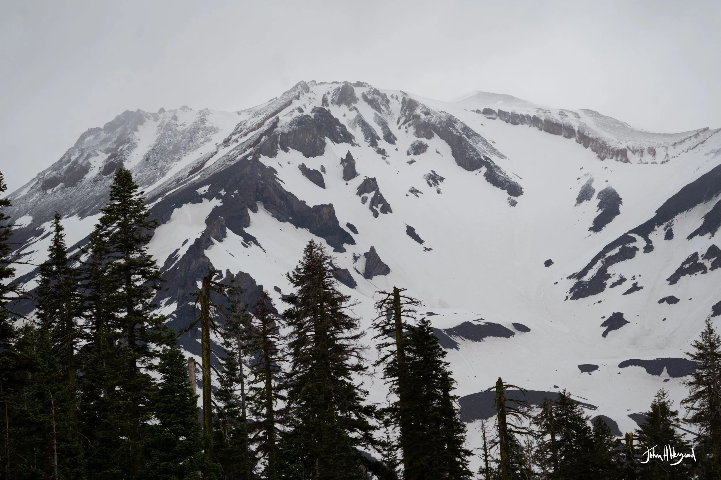 DSC03940.jpg