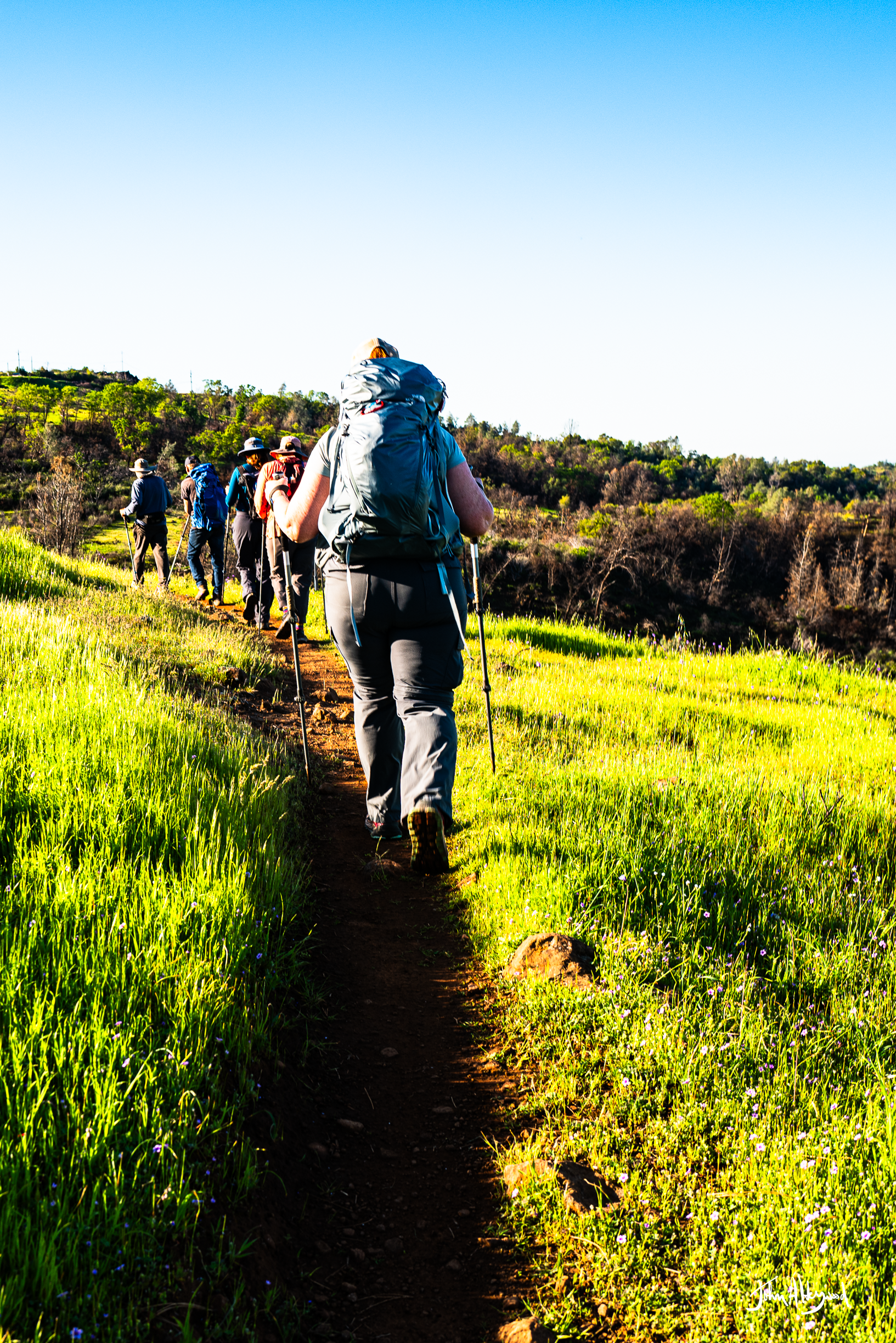 Group of hikers walking on a trail through lush green grass and rolling hills under a clear blue sky.