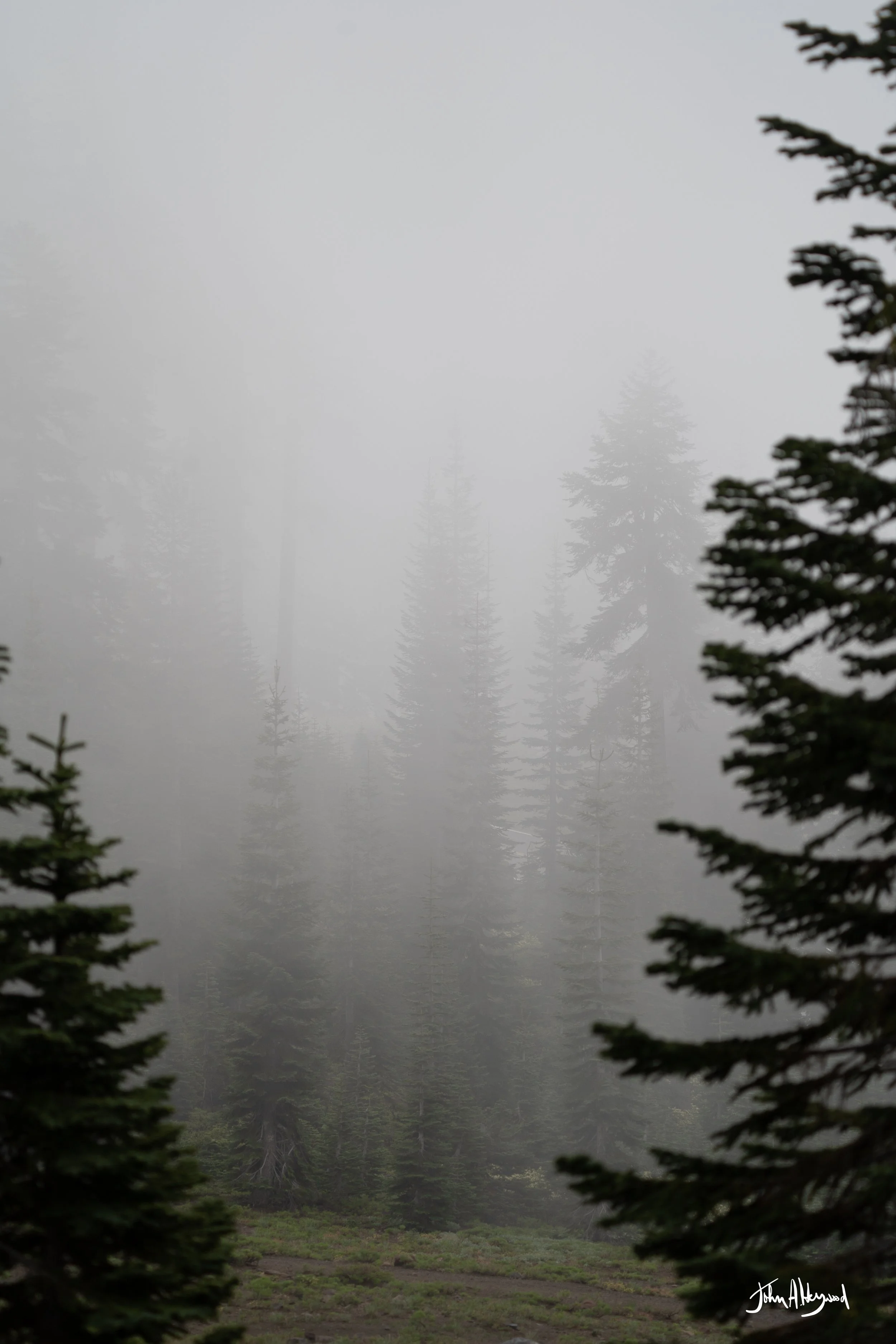 DSC03971.jpg