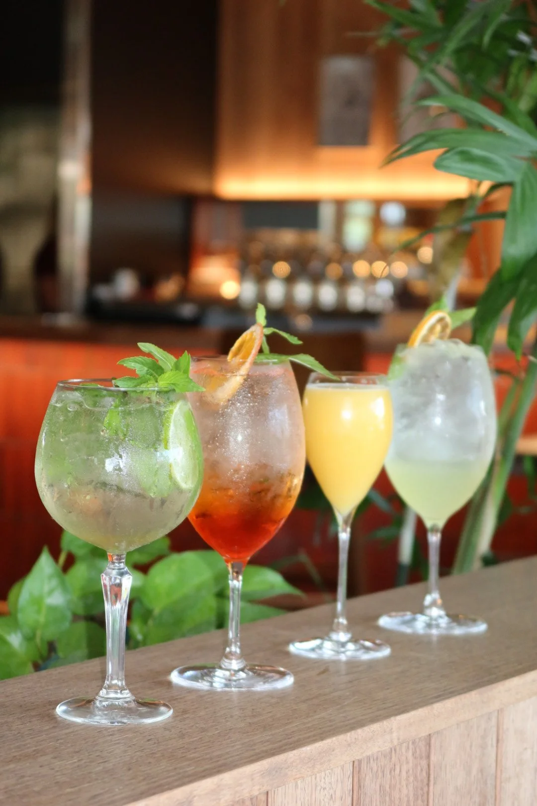 Photo 8-4-2026, 10 38 04 PM.jpg