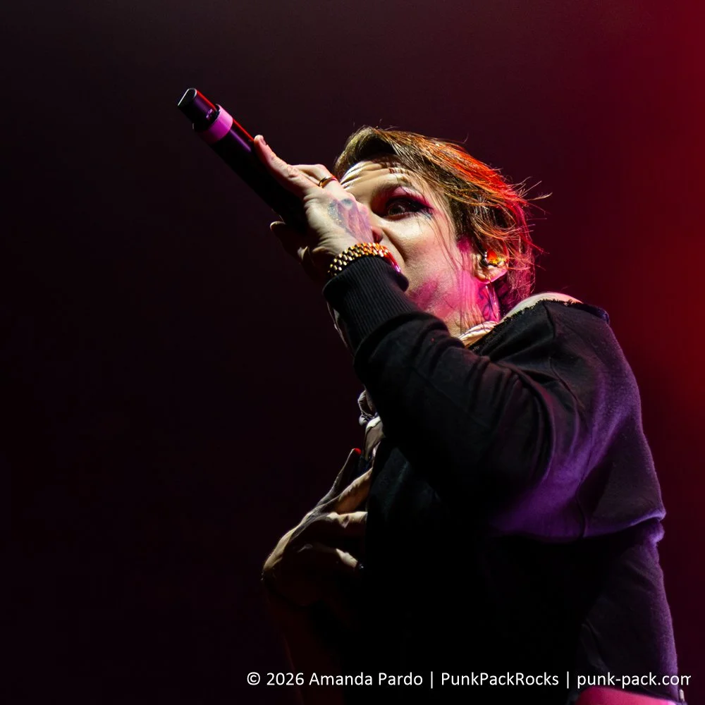 Beartooth-resized (6 of 47).jpg