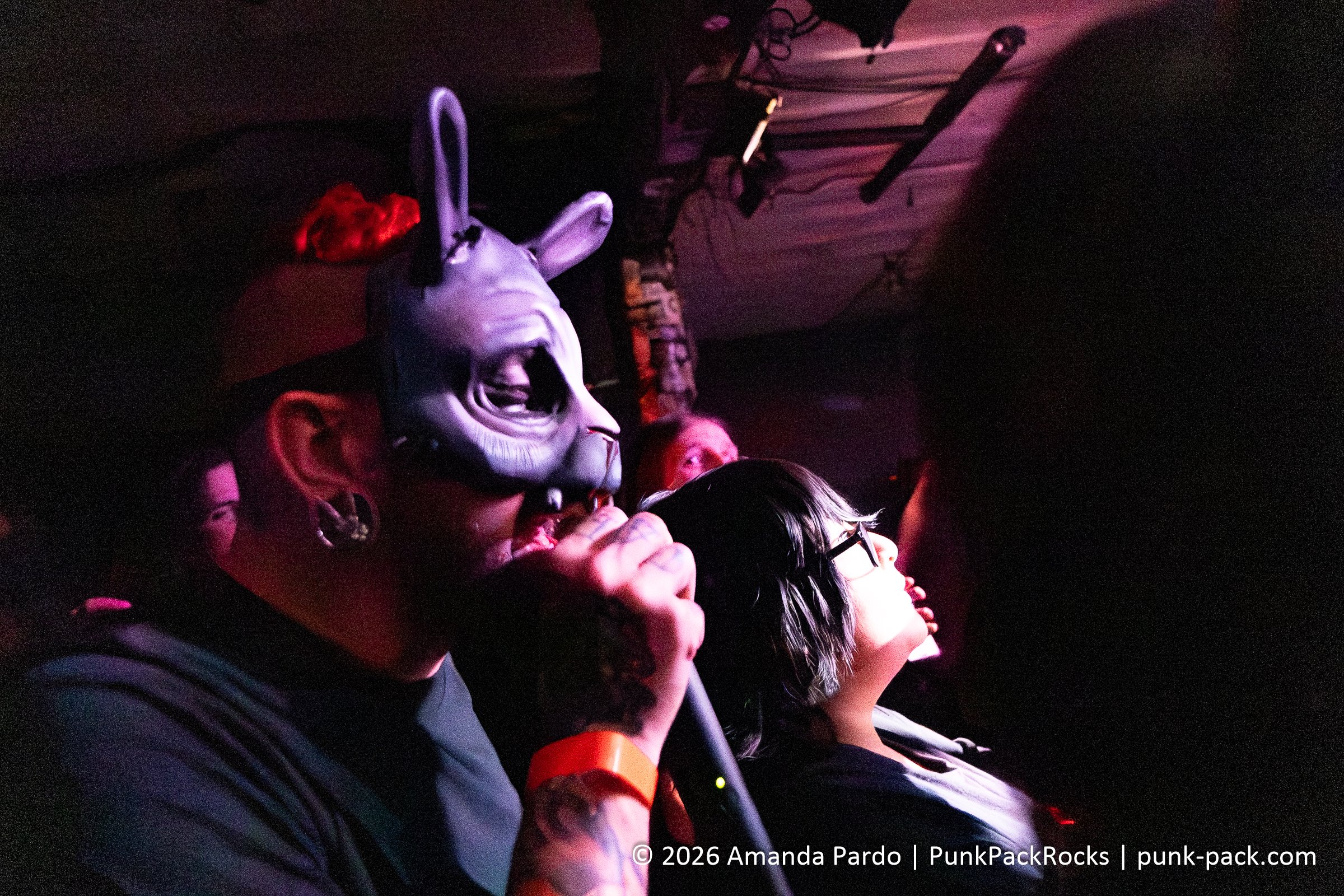 HDR - The Bunny The Bear-1342.jpg