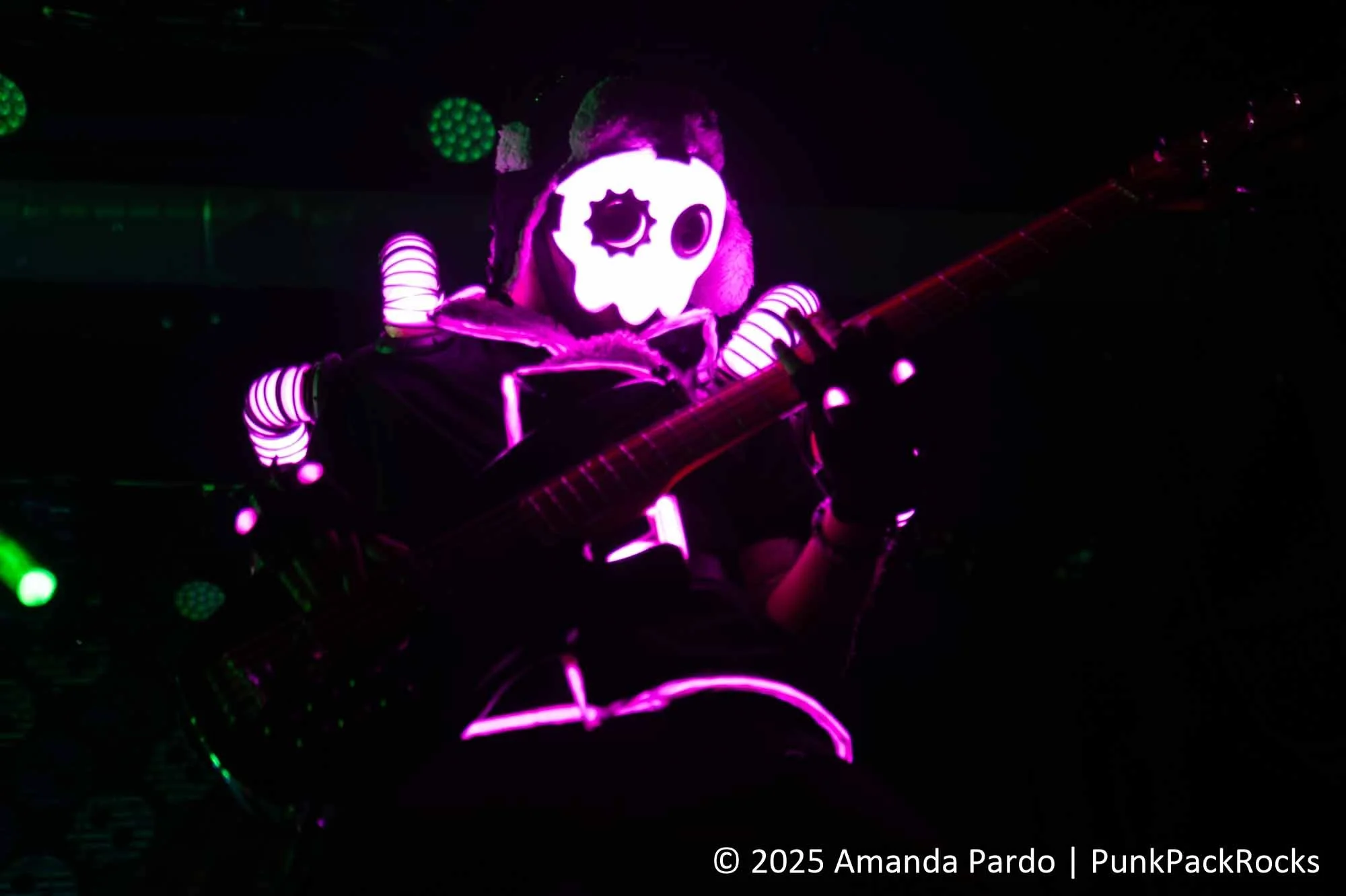 1C9A0144-Enhanced-NR.jpg