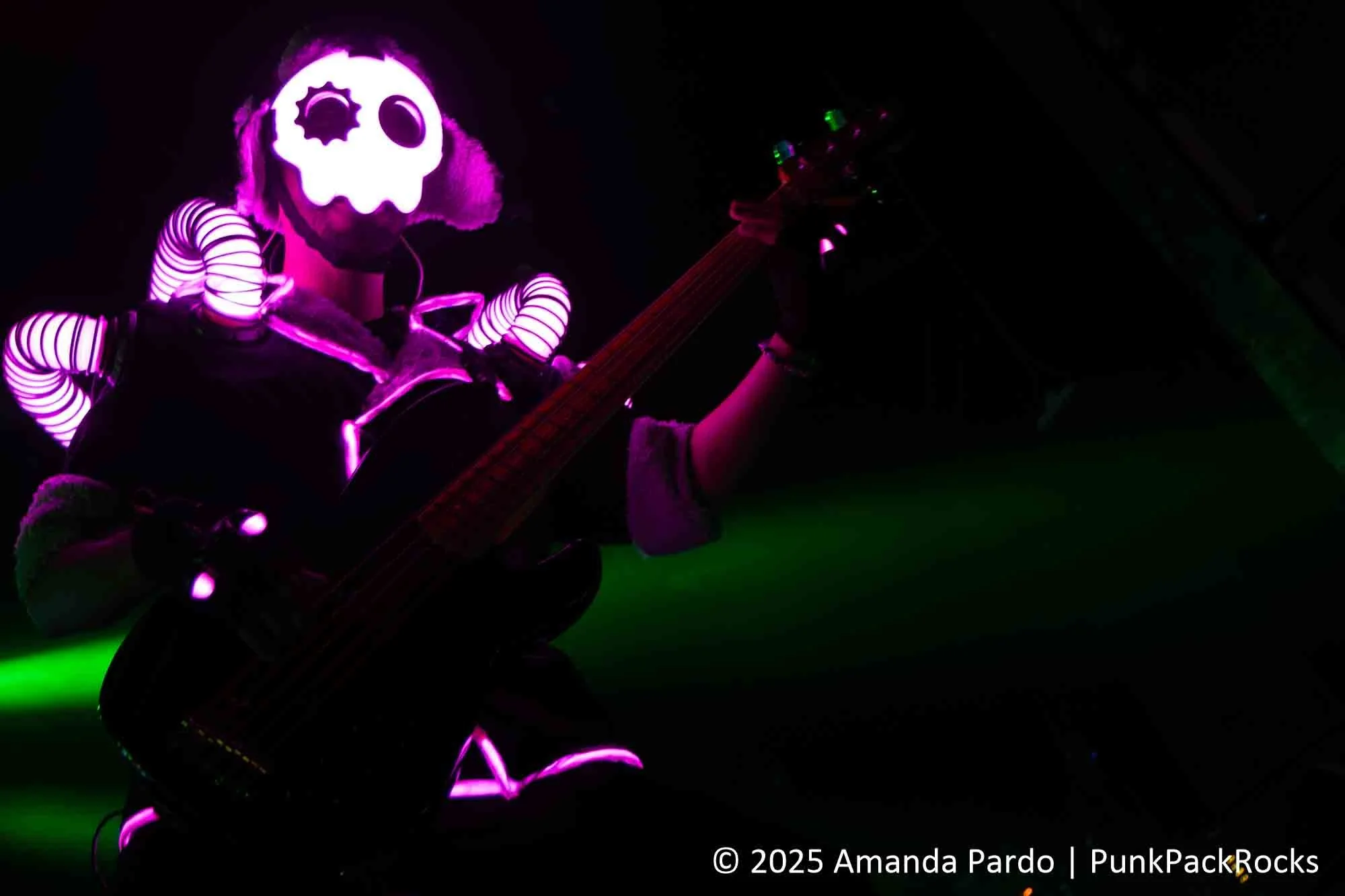1C9A0169-Enhanced-NR.jpg