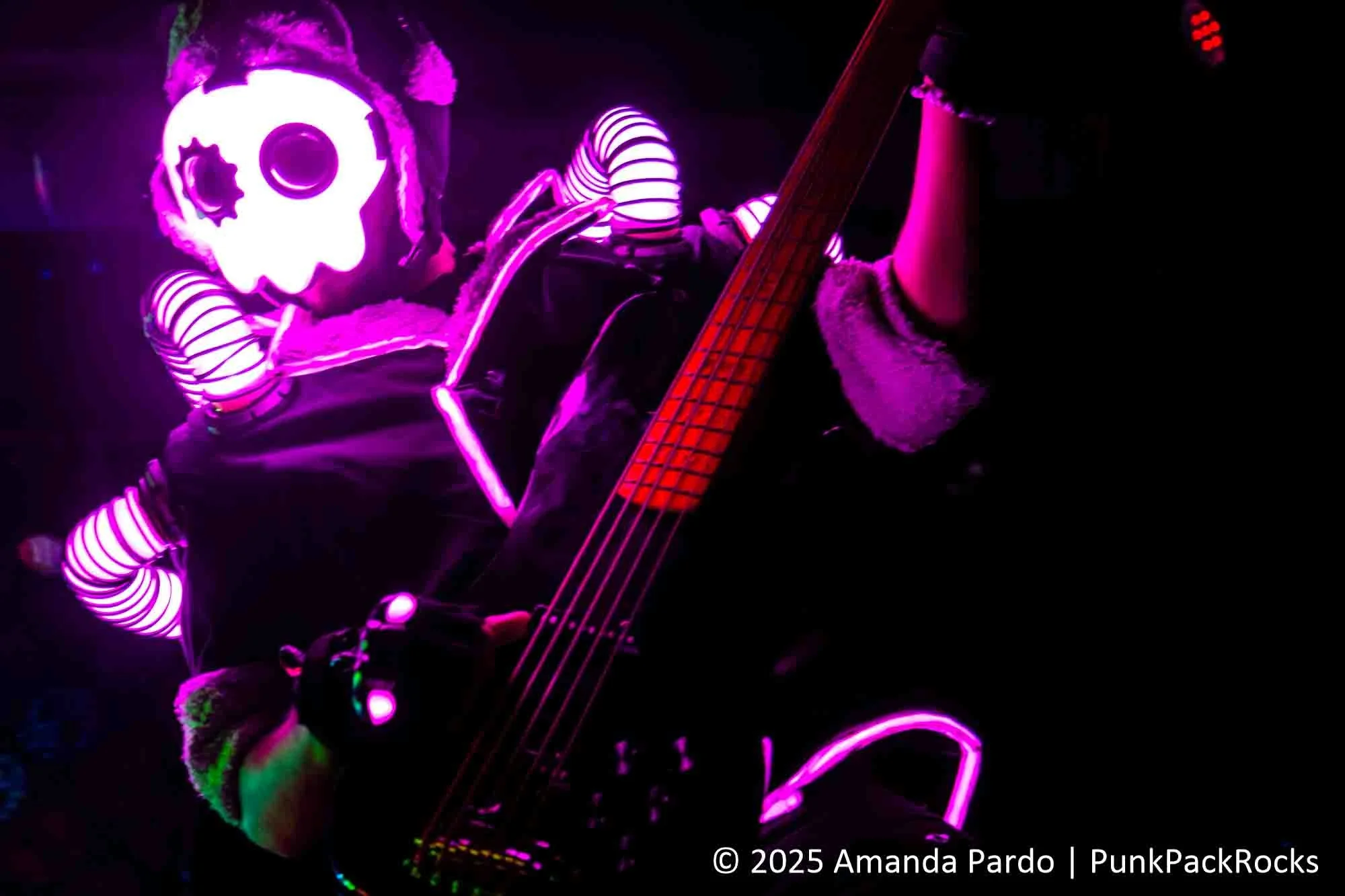 1C9A9505-Enhanced-NR.jpg