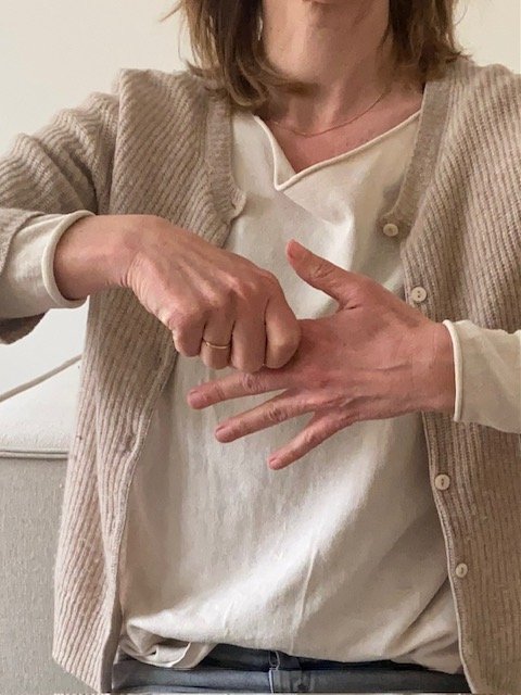 JSJ_Zeigefinger_li.jpg