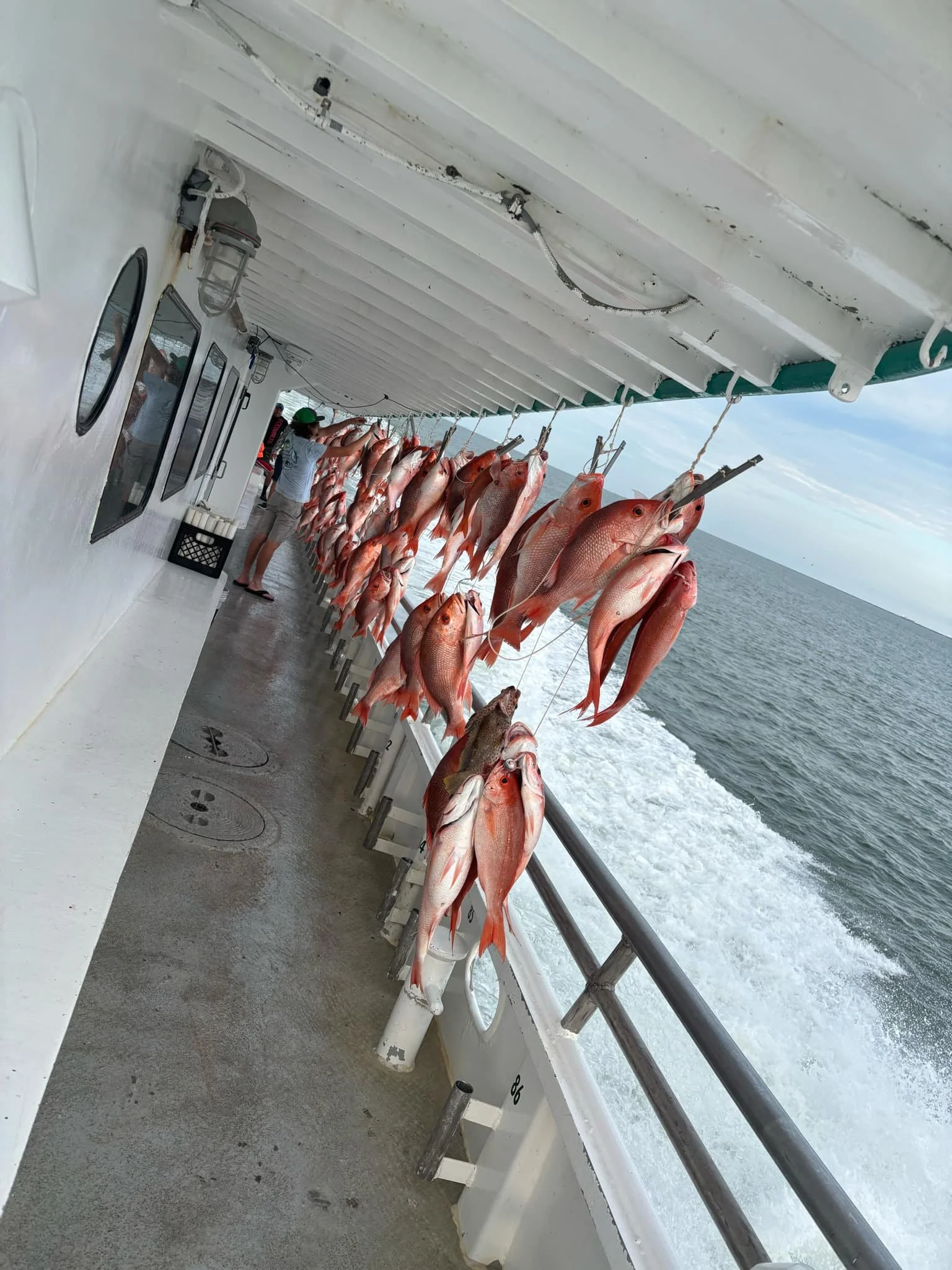 att.Zbb8iN1ocBAZVZlGi9ZDpxAW2rfnxO730vOJlcdQko8 (002).JPG