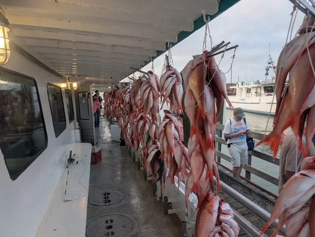 1000001743 (002).jpg