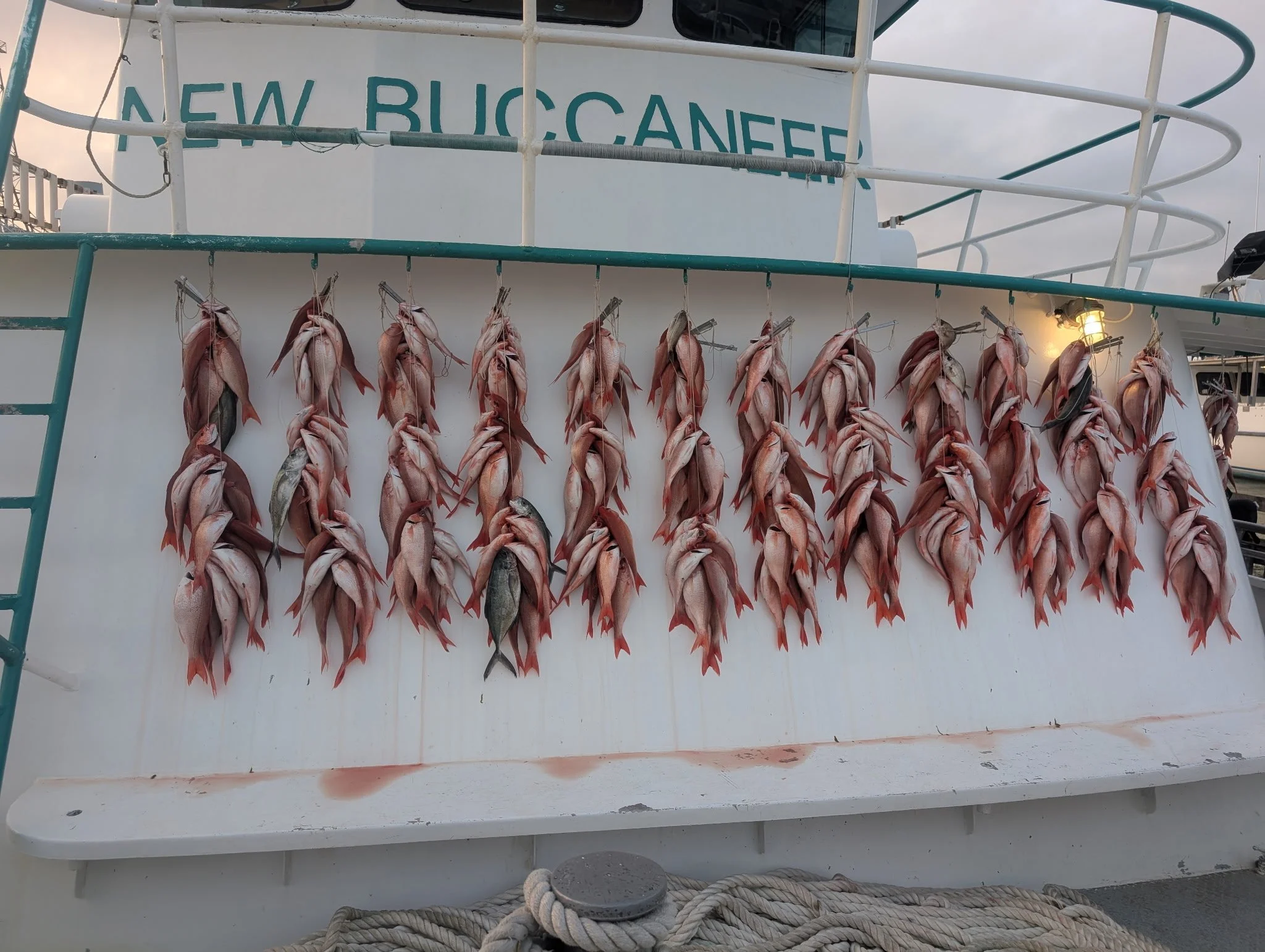 PXL_20260426_001911592.MP (002).jpg