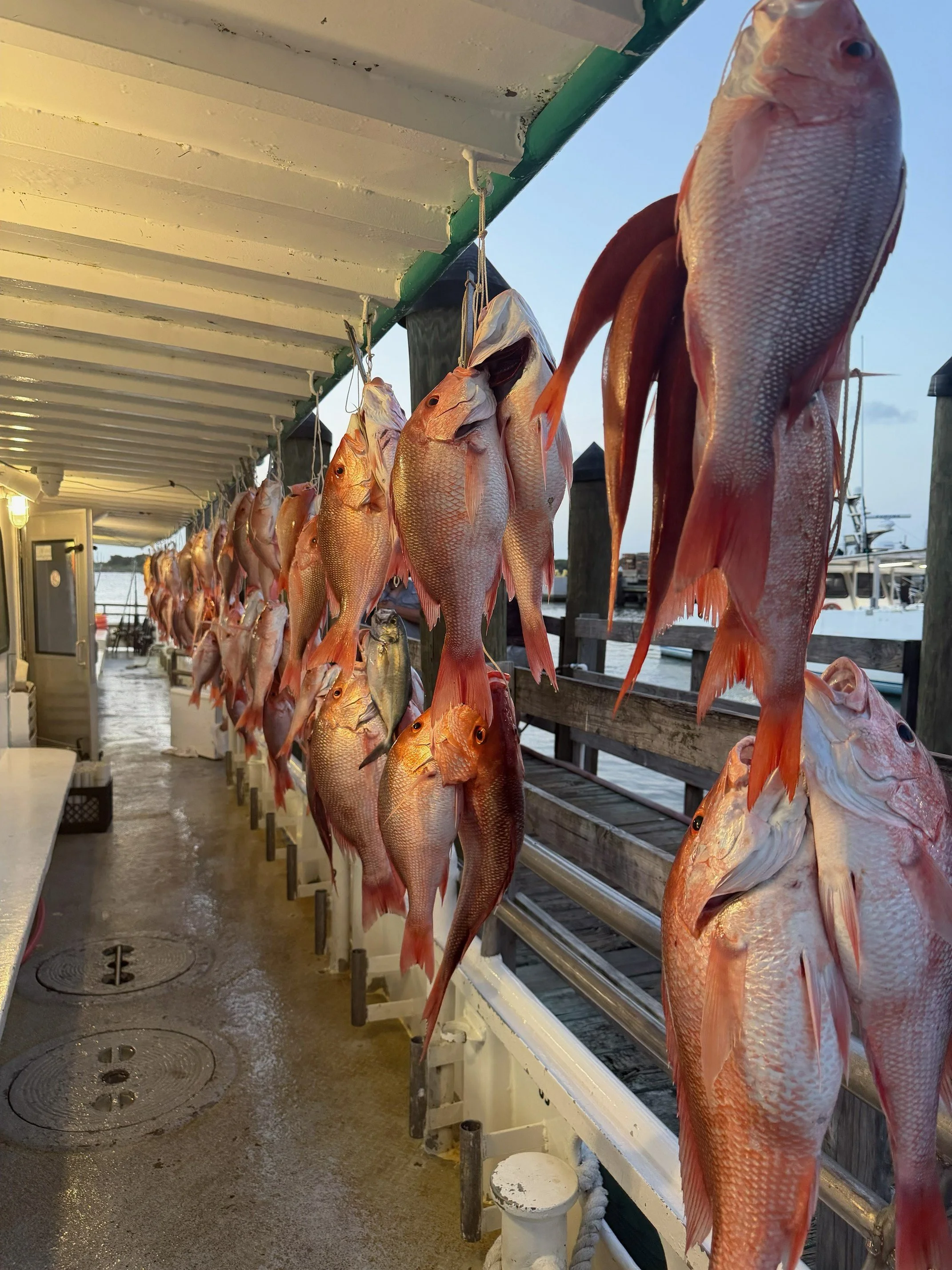 IMG_0152.jpg