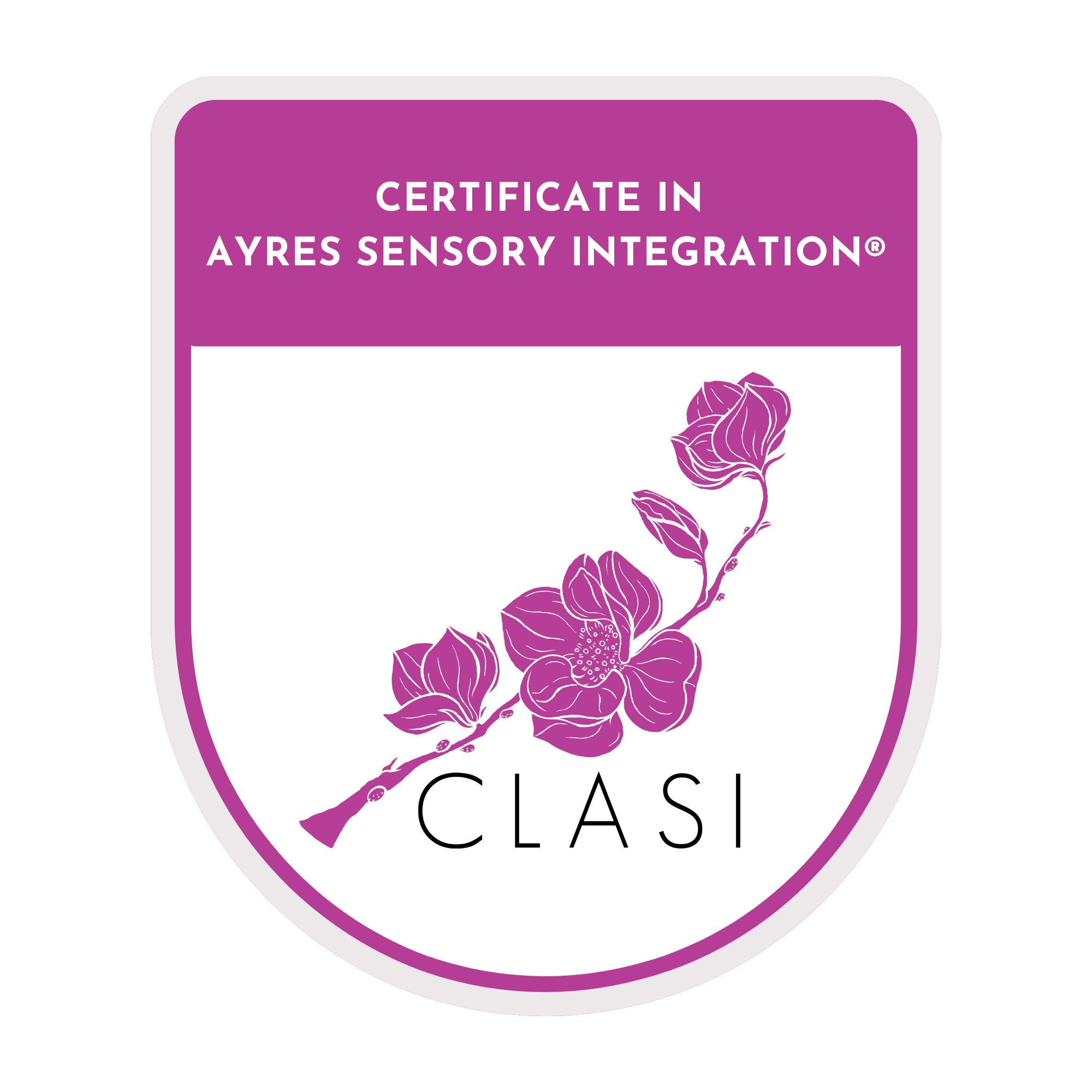 Sensory Integration, certified, Sensory processing disorder, sensory issues, occupational therapy, OT for kids, pediatric OT, pediatric occupational therapy
