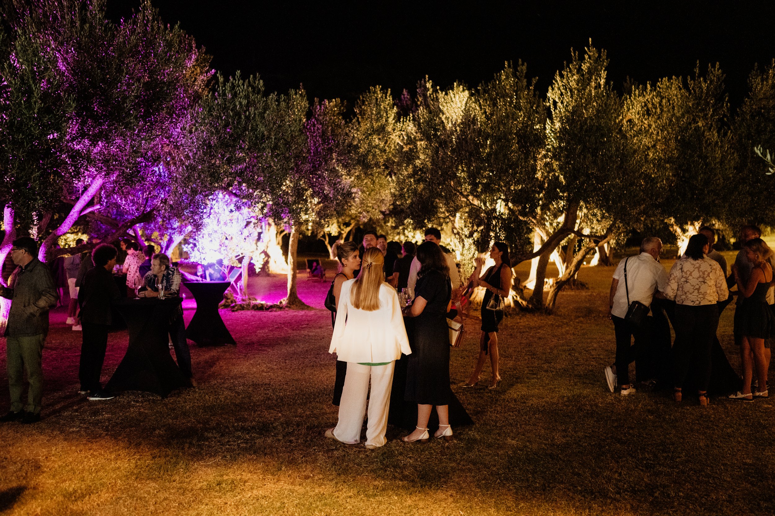 Opening Night Reception @ Villa Riva