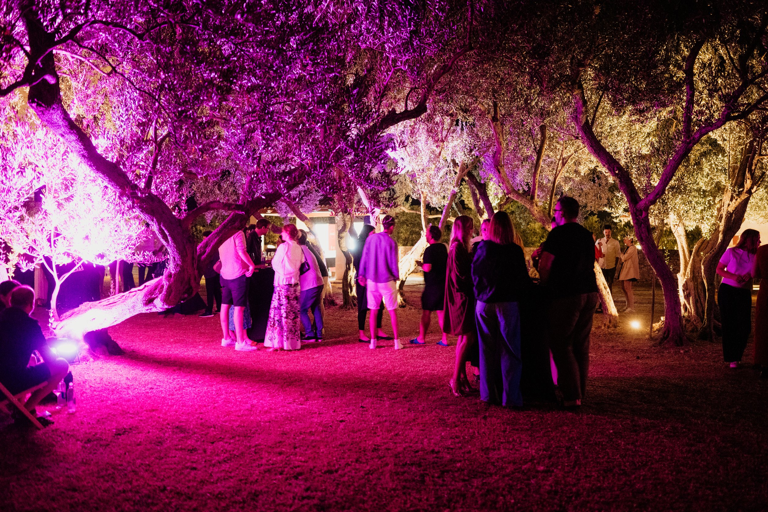 Opening Night Reception @ Villa Riva
