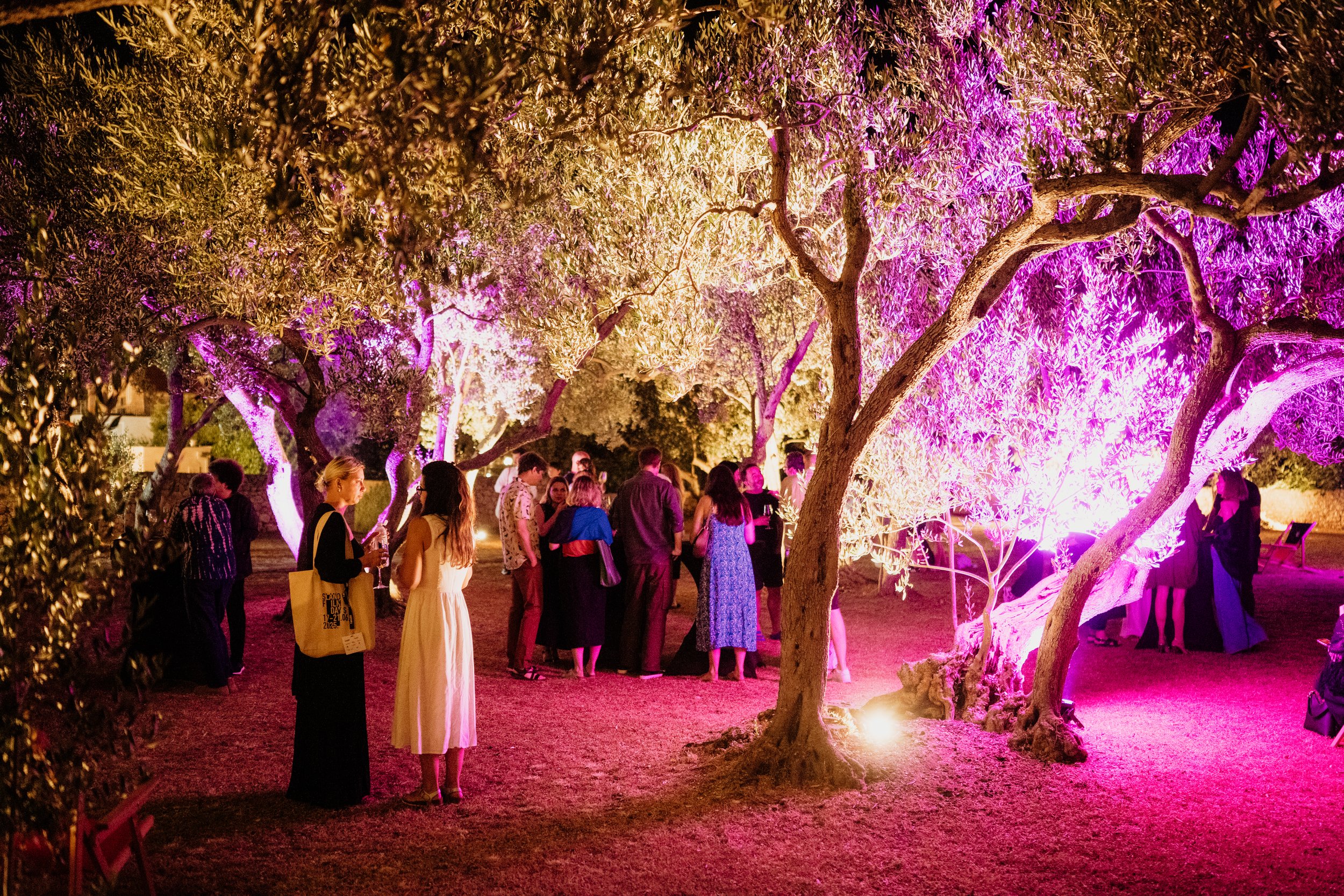 Opening Night Reception @ Villa Riva