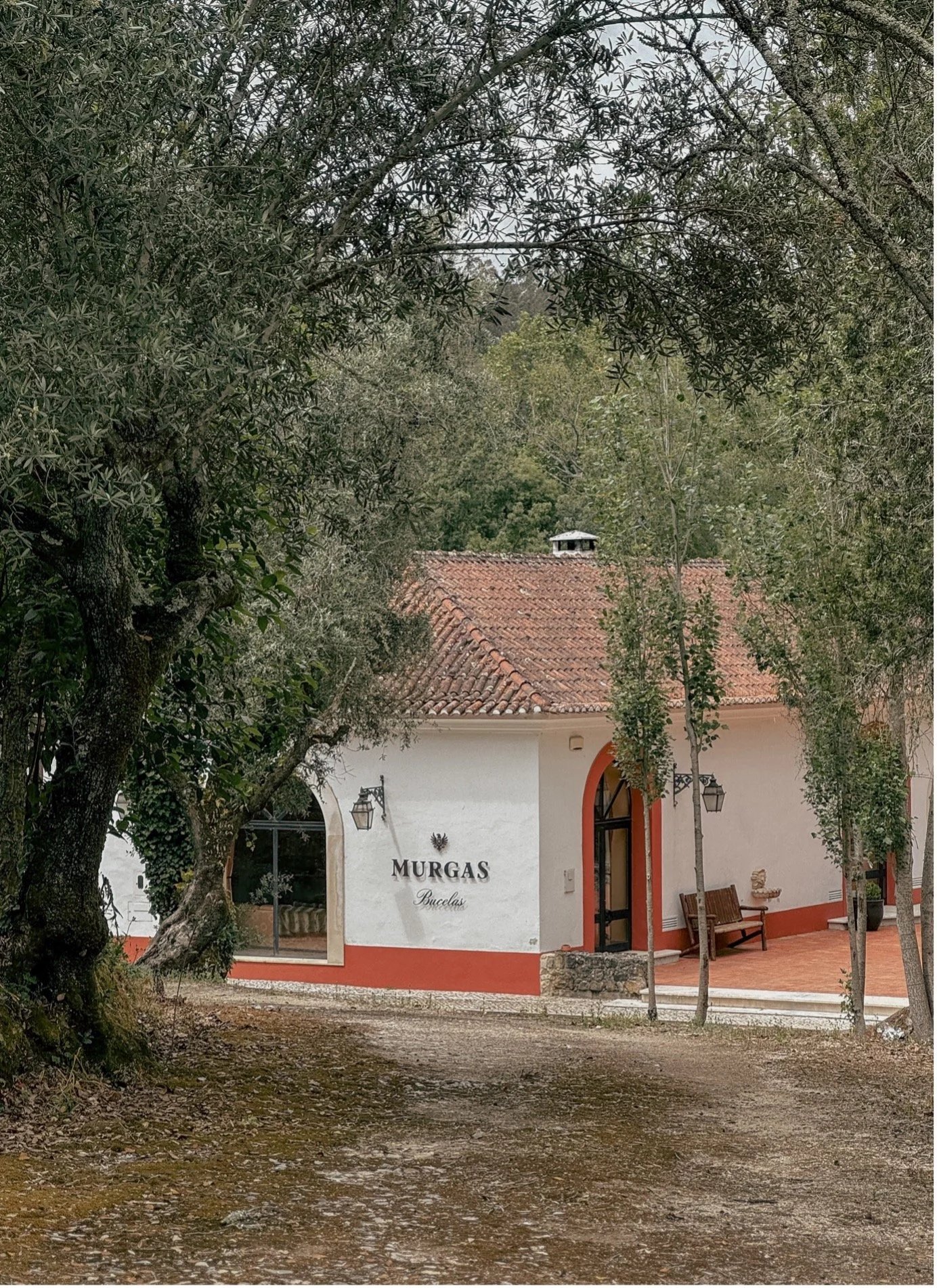 vinha Arinto Bucelas Quinta das Murgas.jpg