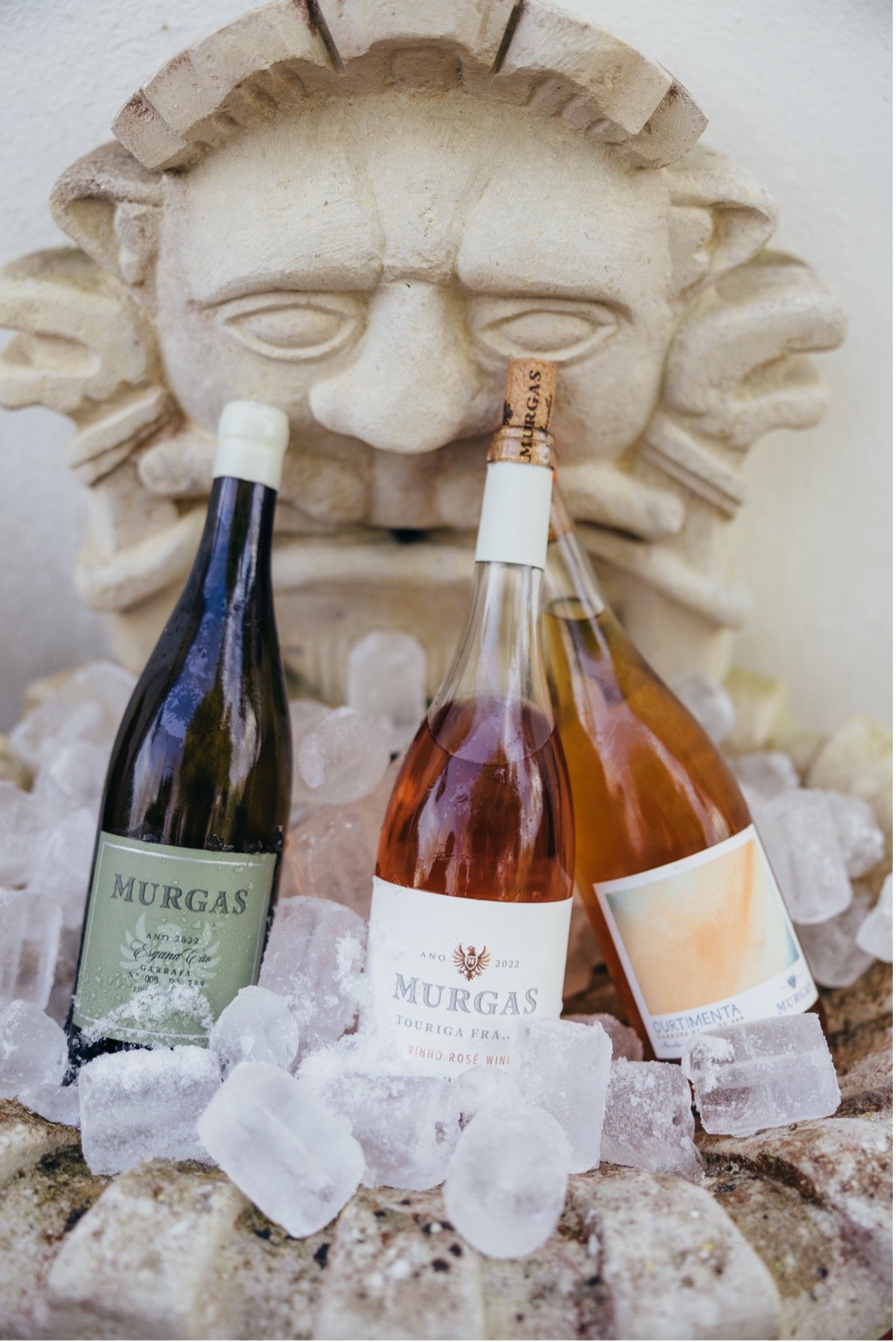 vinha Arinto Bucelas Quinta das Murgas.jpg