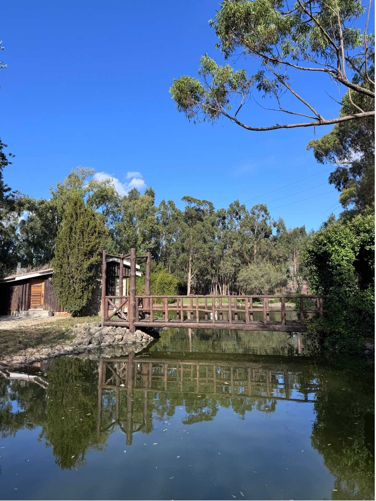 Wooden bridge over a small lake at Quinta das Murgas vineyard in Bucelas, Portugal, near Lisbon, surrounded by lush greenery and scenic nature.jpg