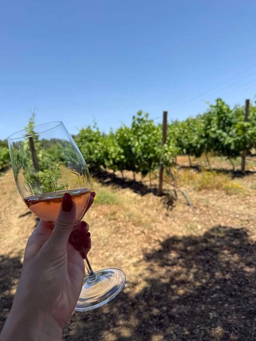 Quinta das Murgas vineyards in Portugal, where hot summer days and cool nights help produce fresh and balanced wines 5.jpg