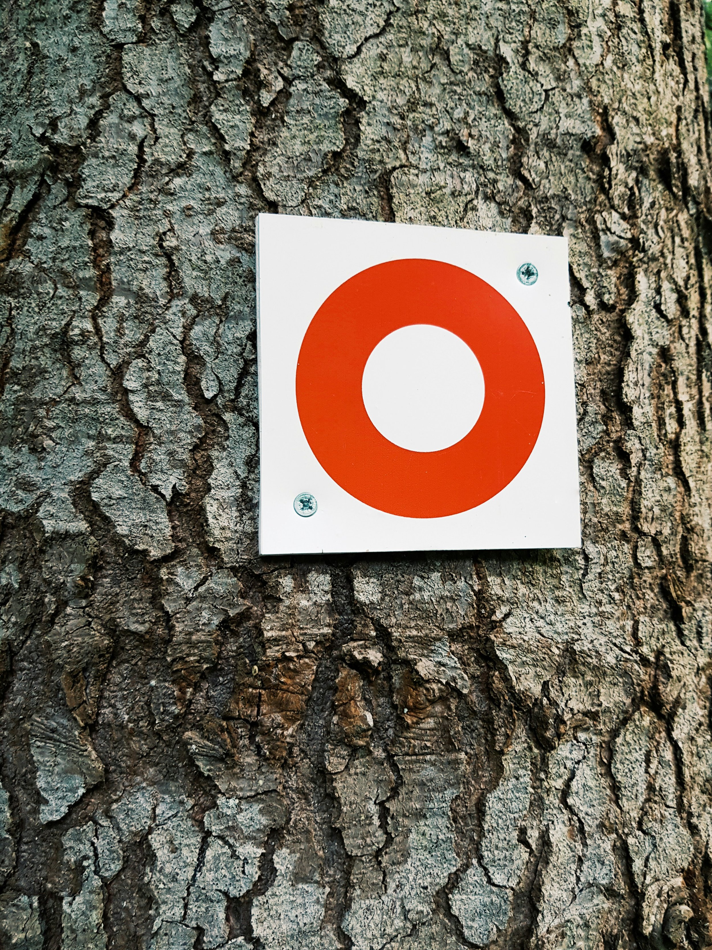 Abusers Keep Moving Their Targets